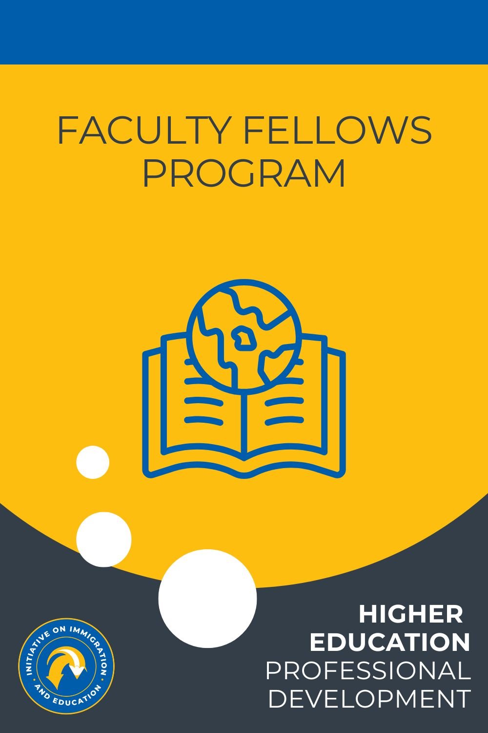Faculty Fellows Program