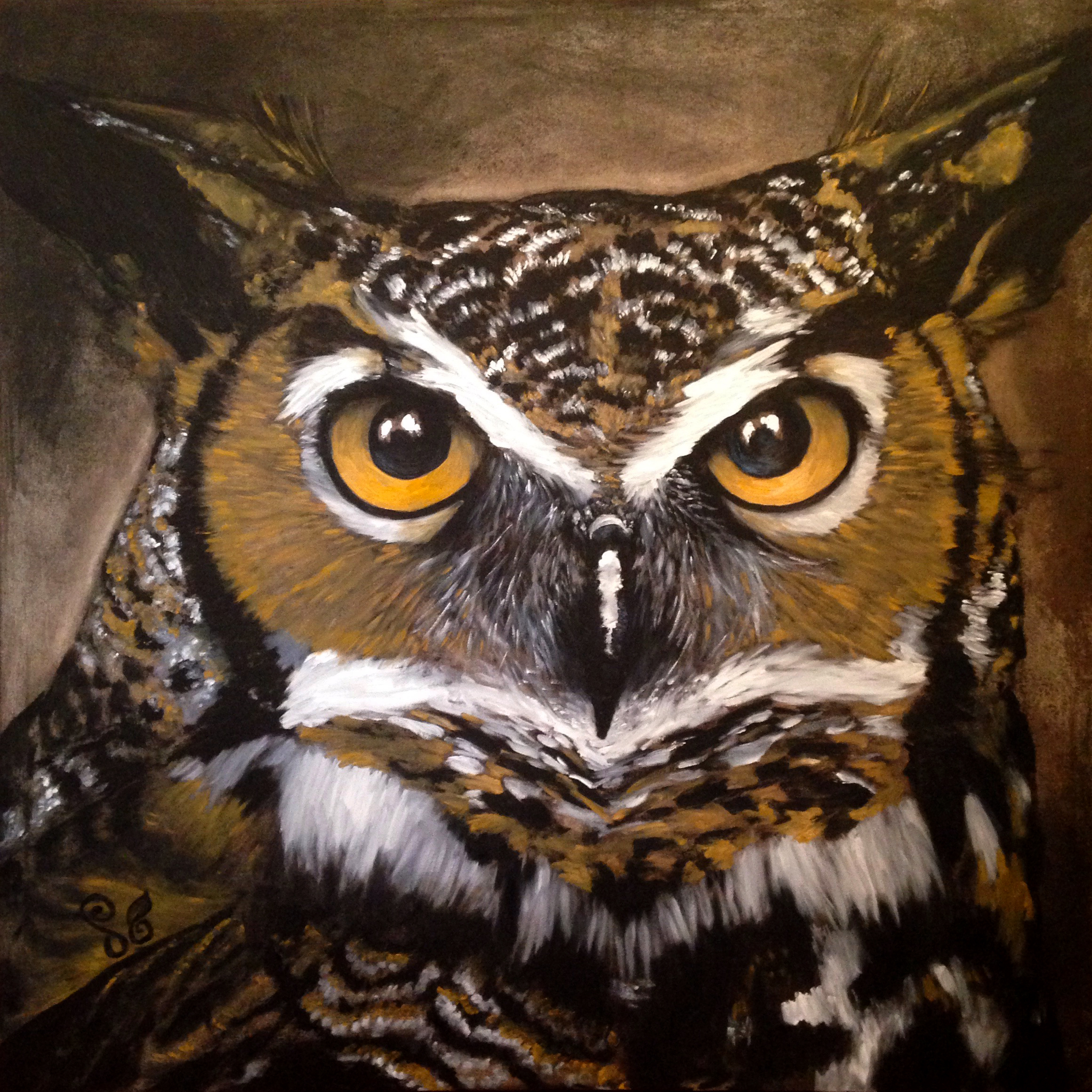 Great Horned Owl.JPG