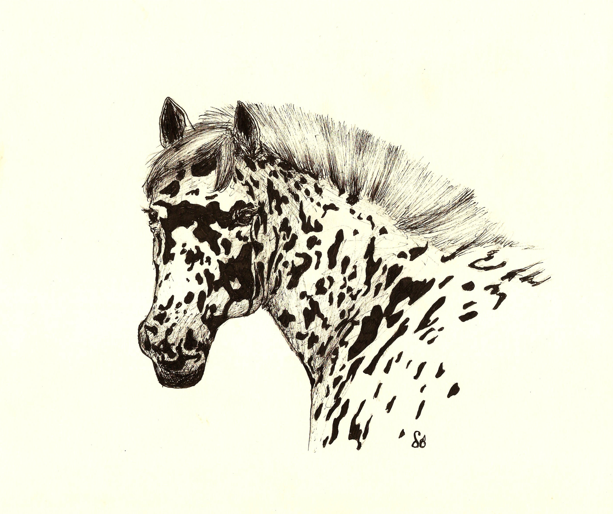 Painted Horse.jpg