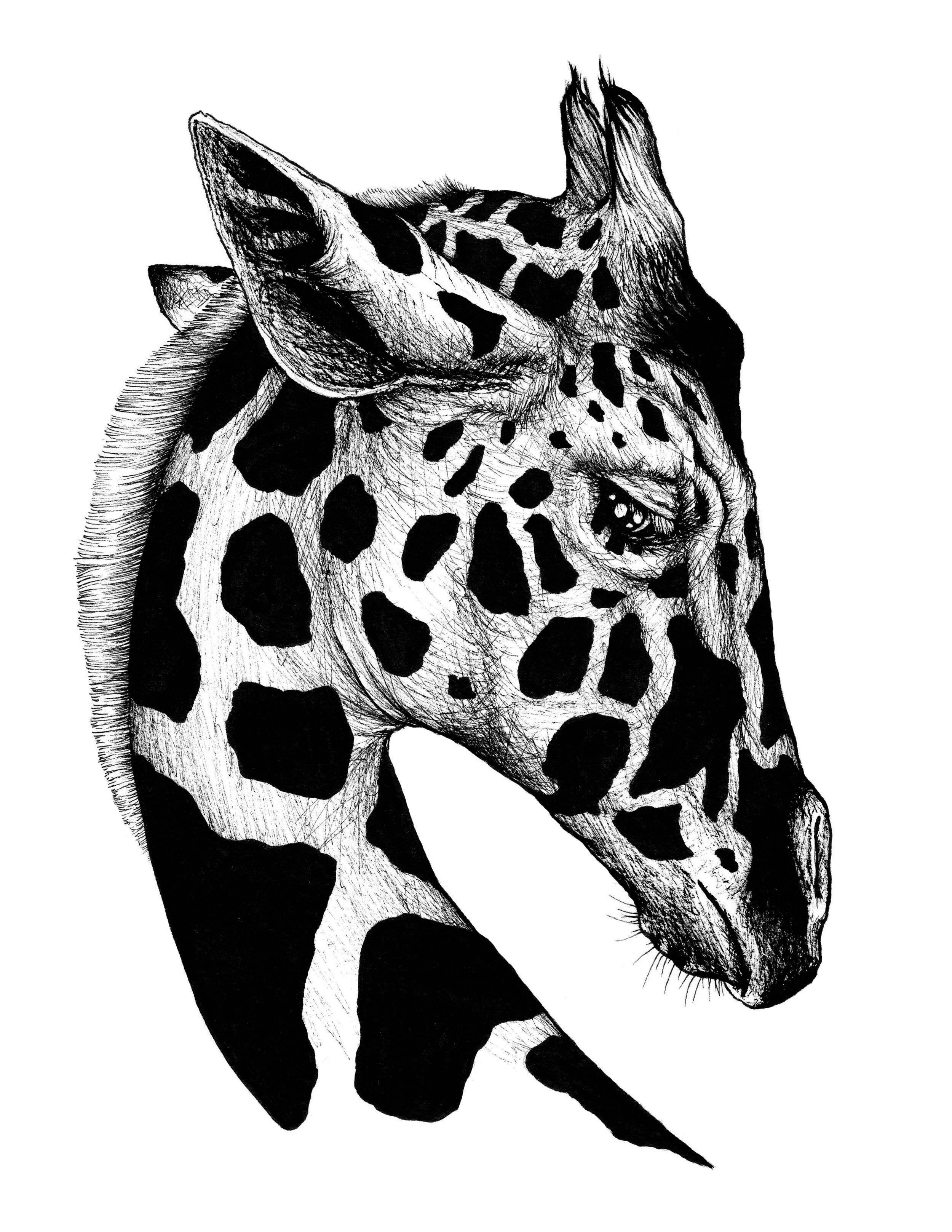 GIRAFFE2.jpg