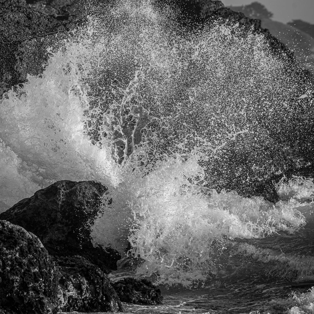 2019.09.Pacific.Coast.1004.jpg