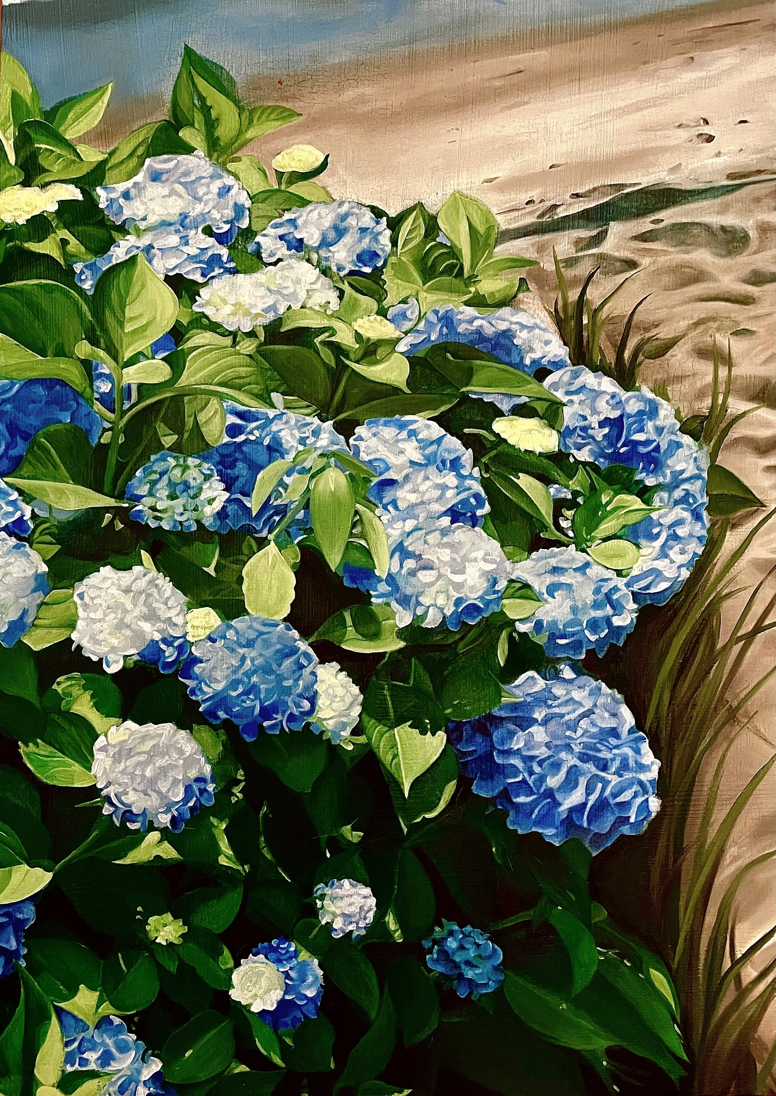 'Watch Hill' hydrangea detail.JPEG
