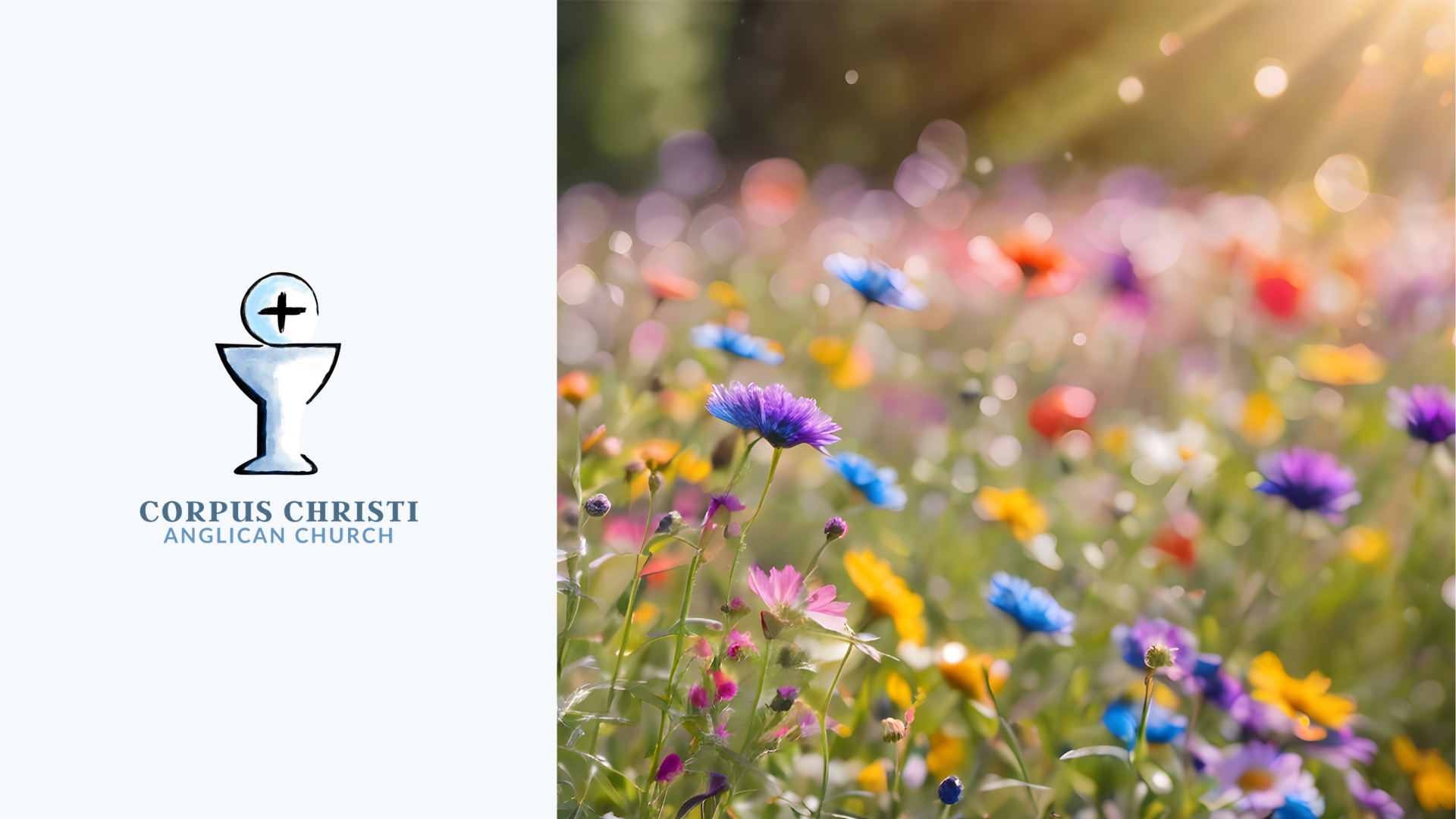 Proper 6: Sowing Grace, Harvesting Joy