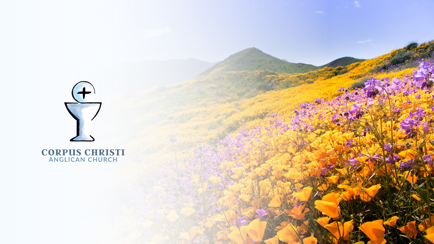Easter Sunday: Jesus the King and Cultivator of the Garden of God episode artwork