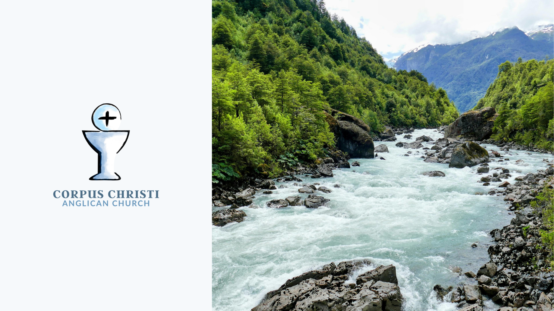 Proper 7: Two Sources, Two Humanities: Grace Abounding