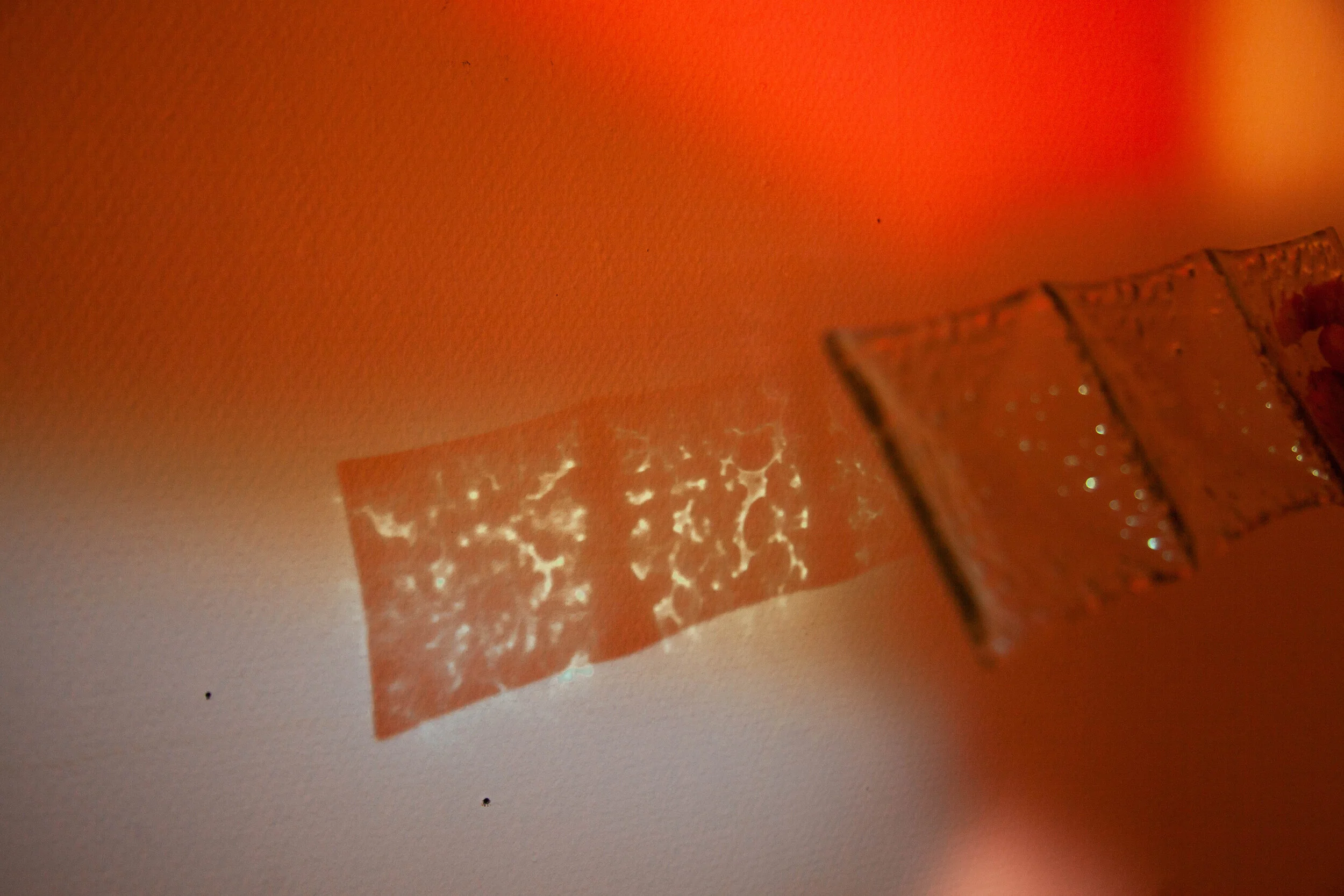 test1-17.jpg