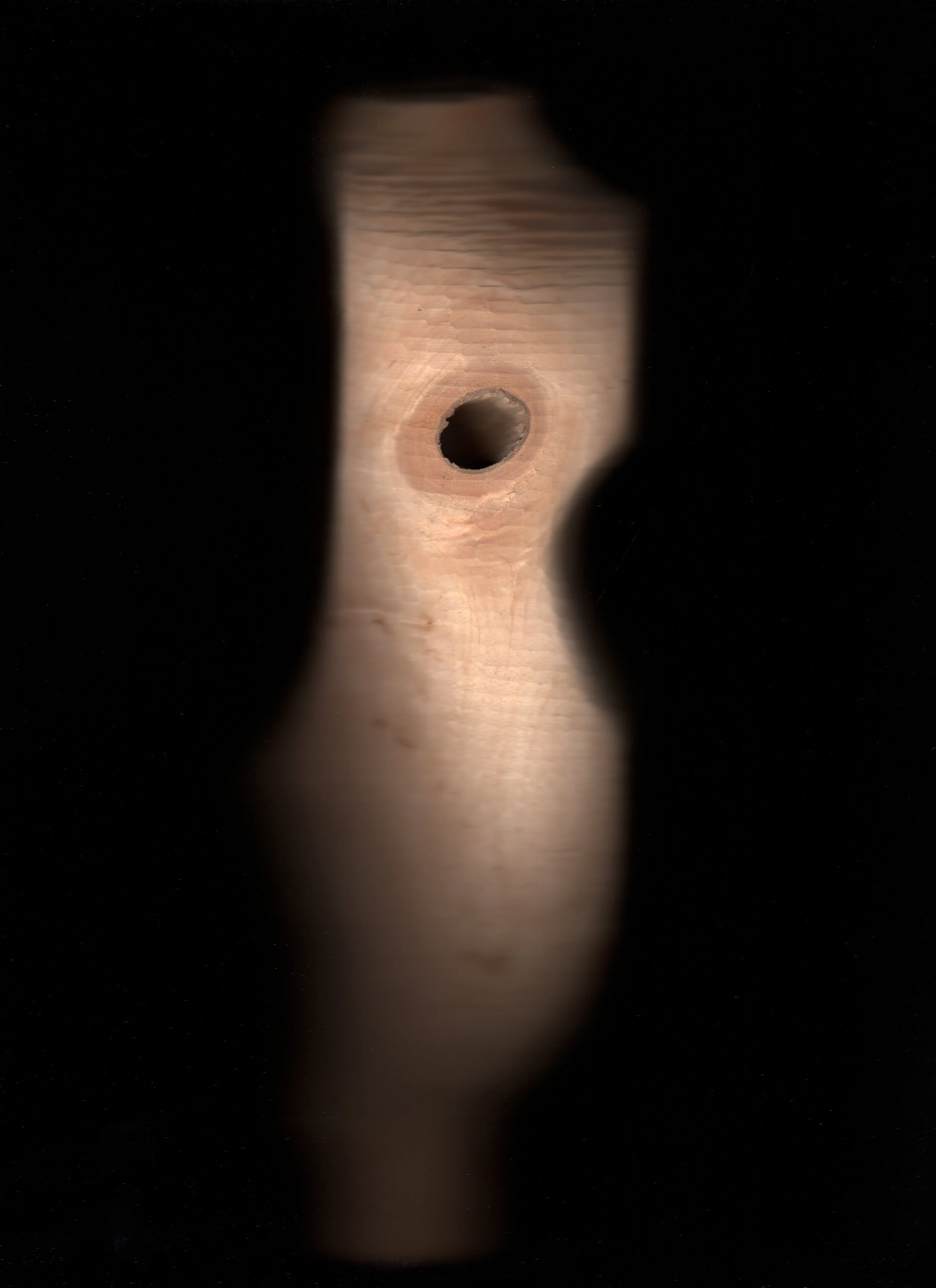img004.jpg