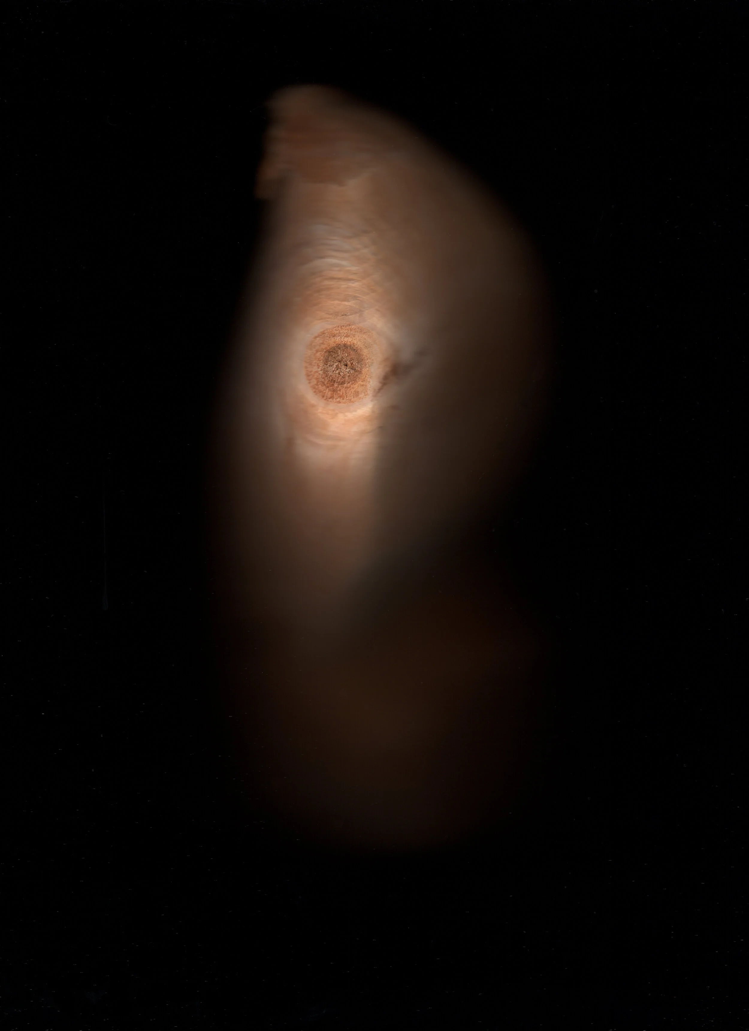 img015.jpg
