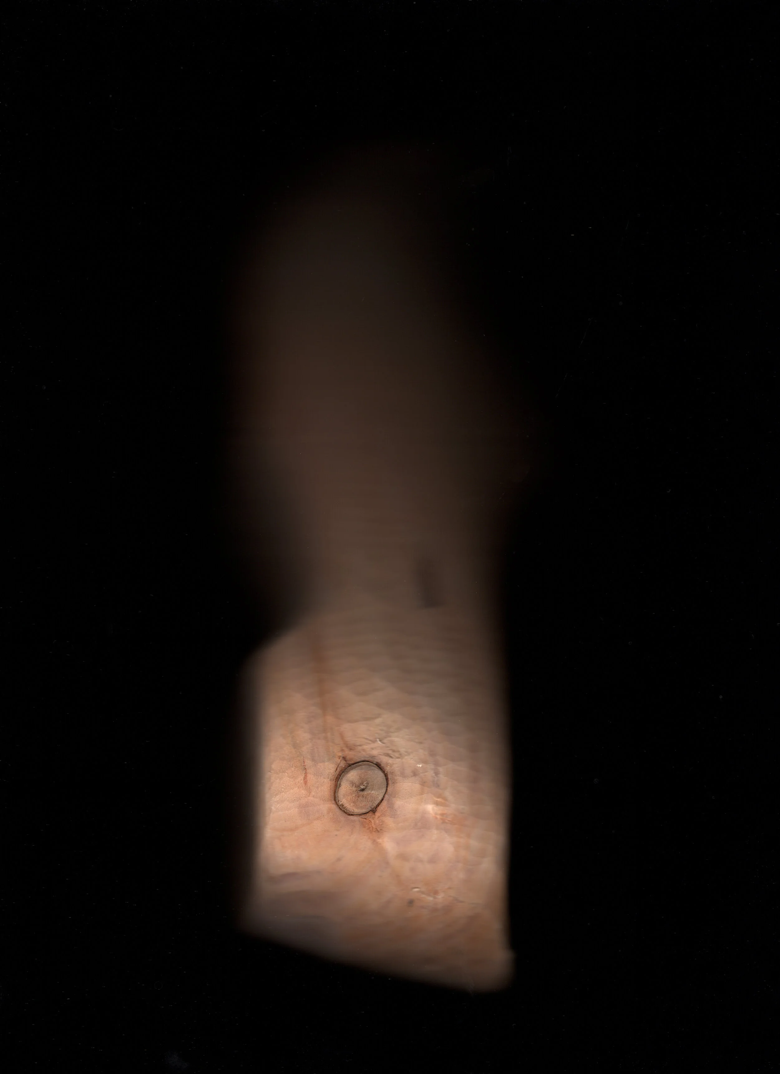 img039.jpg