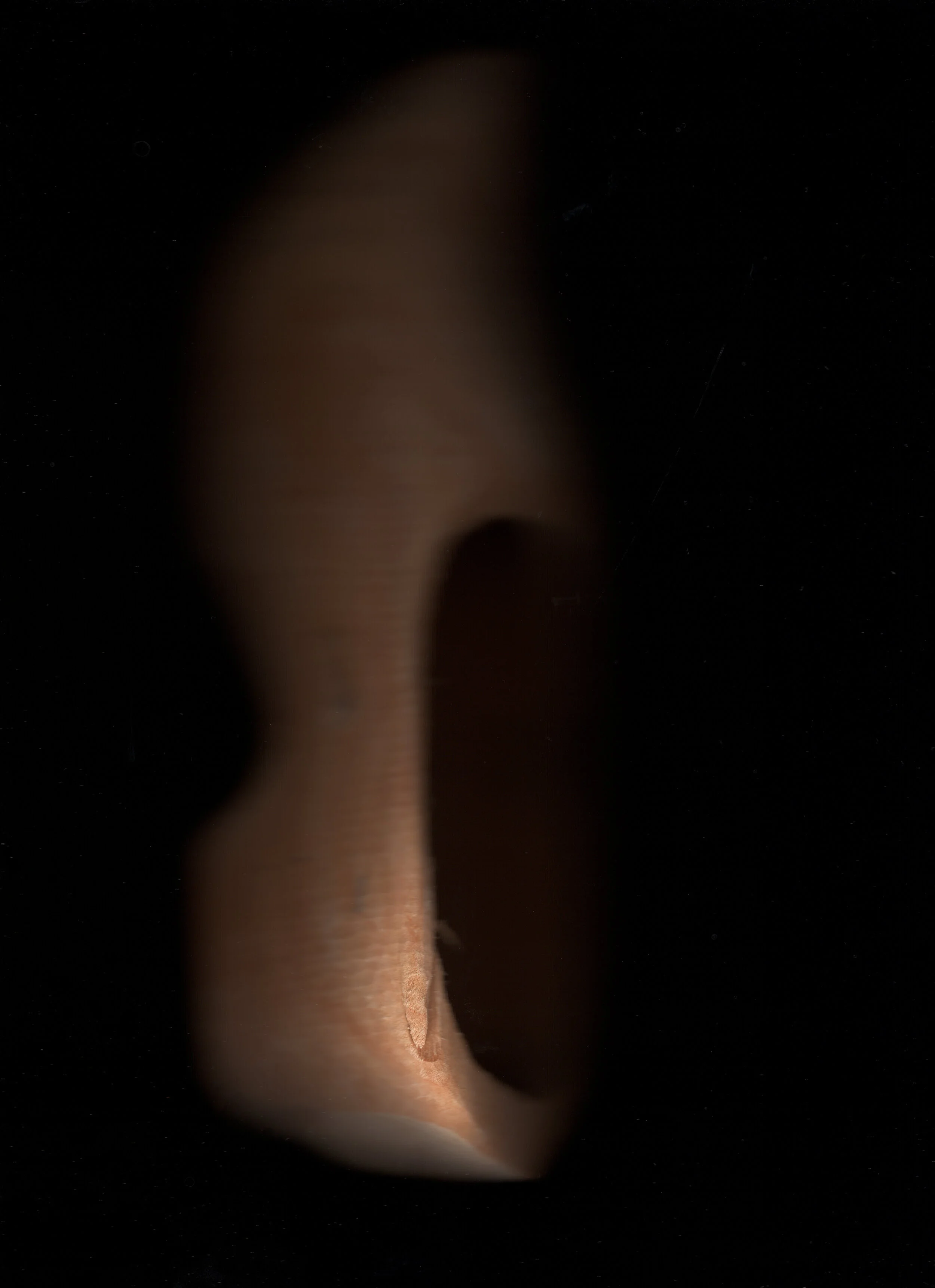 img024.jpg