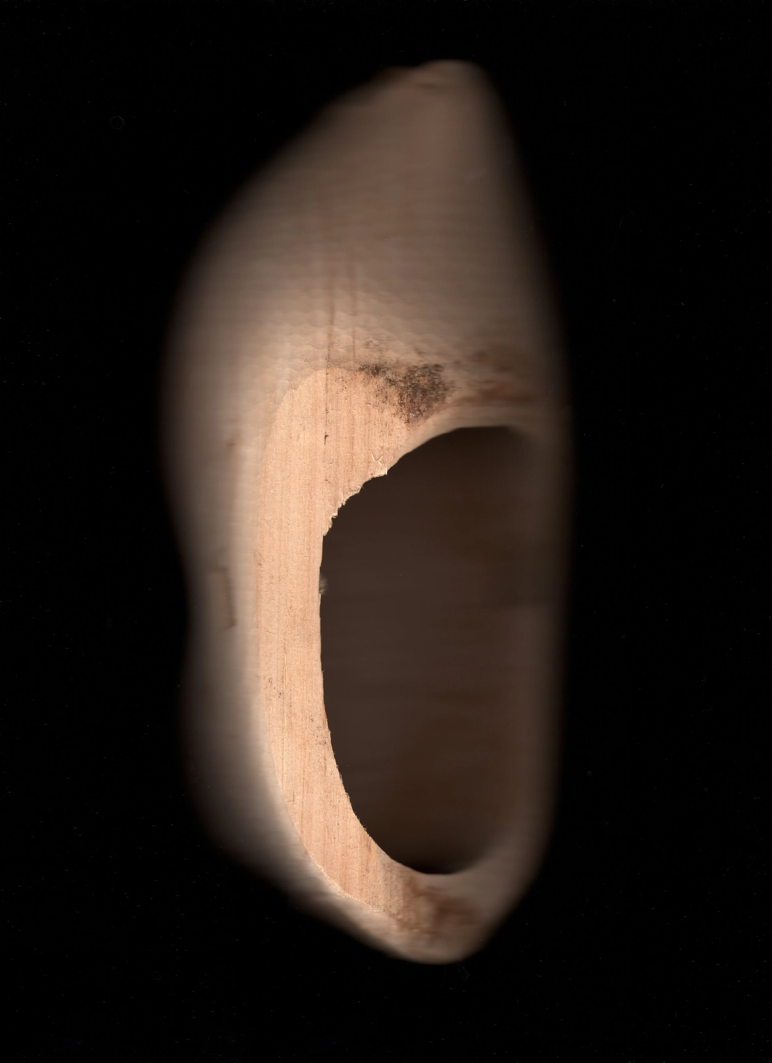 img037.jpg