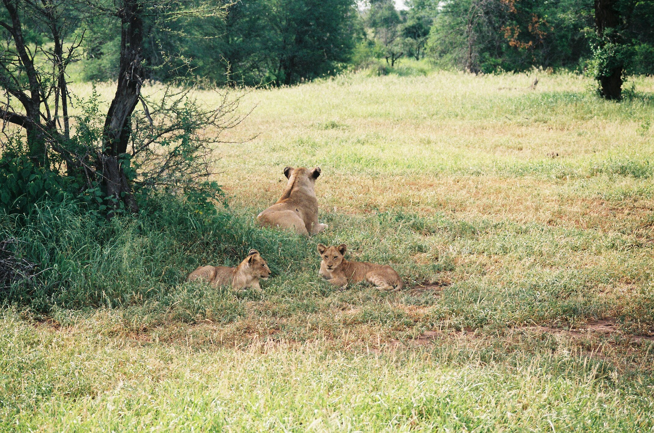 R1-09267-0035.JPG