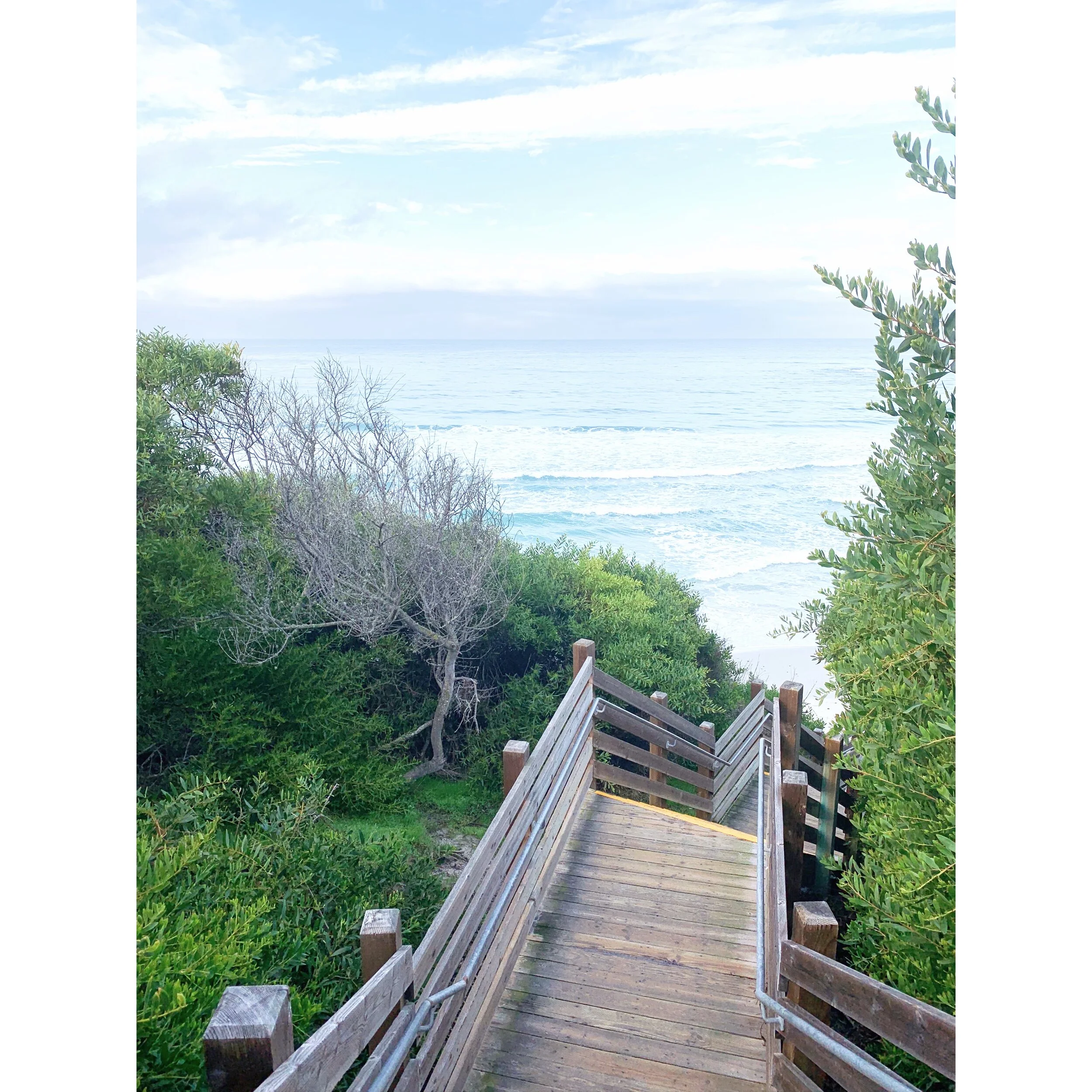 Perfect Vision: 2020