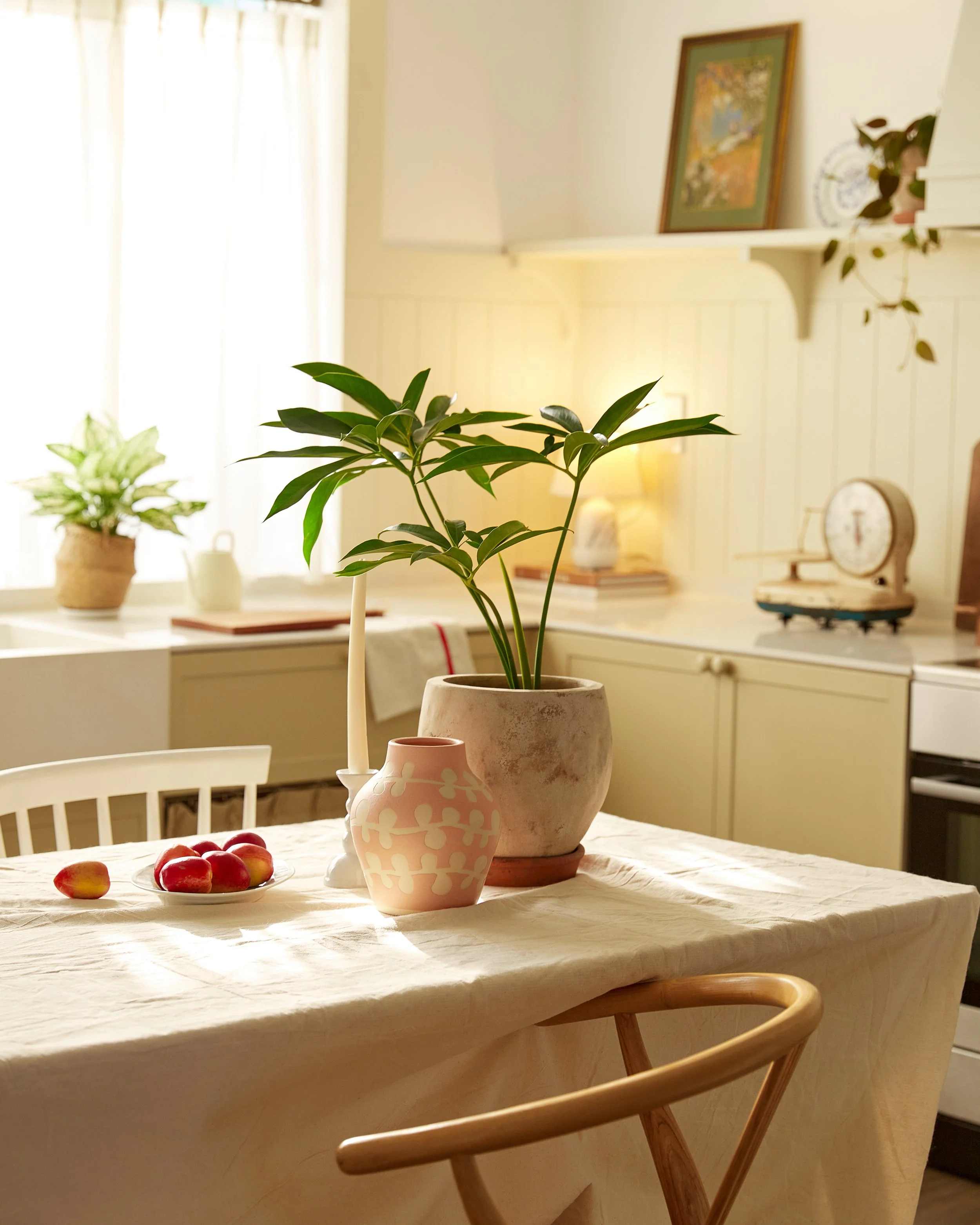 Studio De Egg 020415.jpg