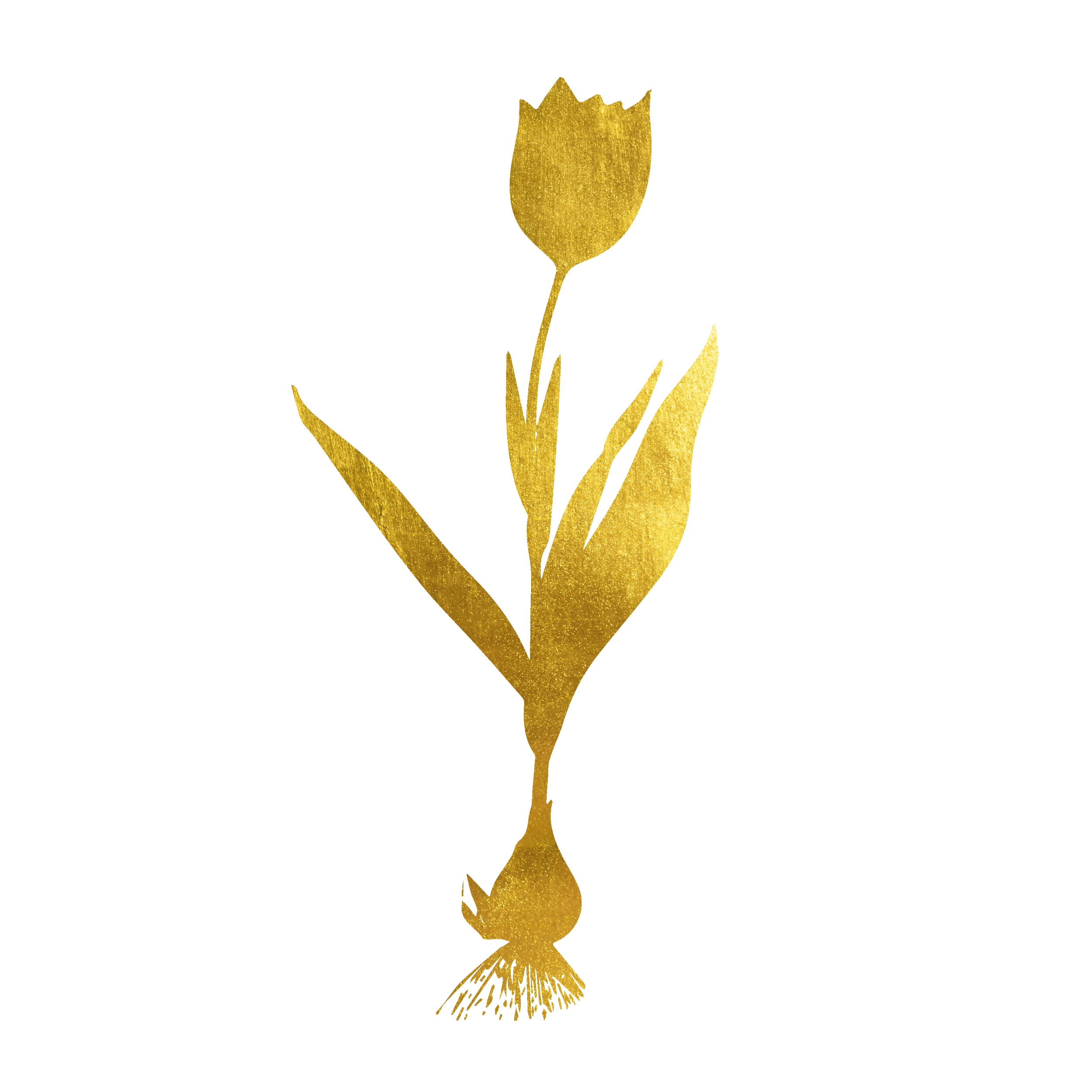Gold Tulpe 2.png