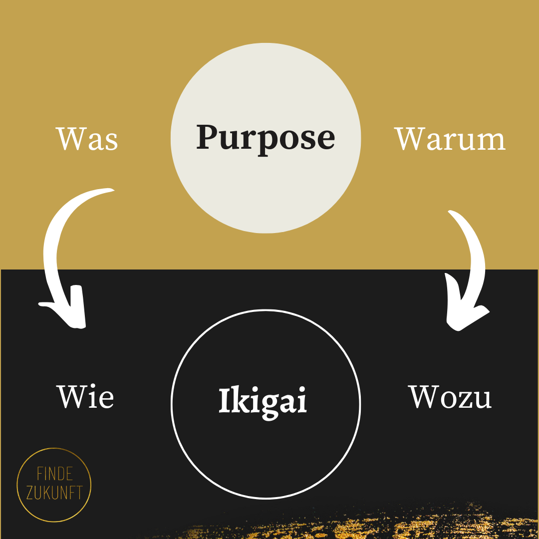 9Finde Zukunft ikigai für Coaches..png