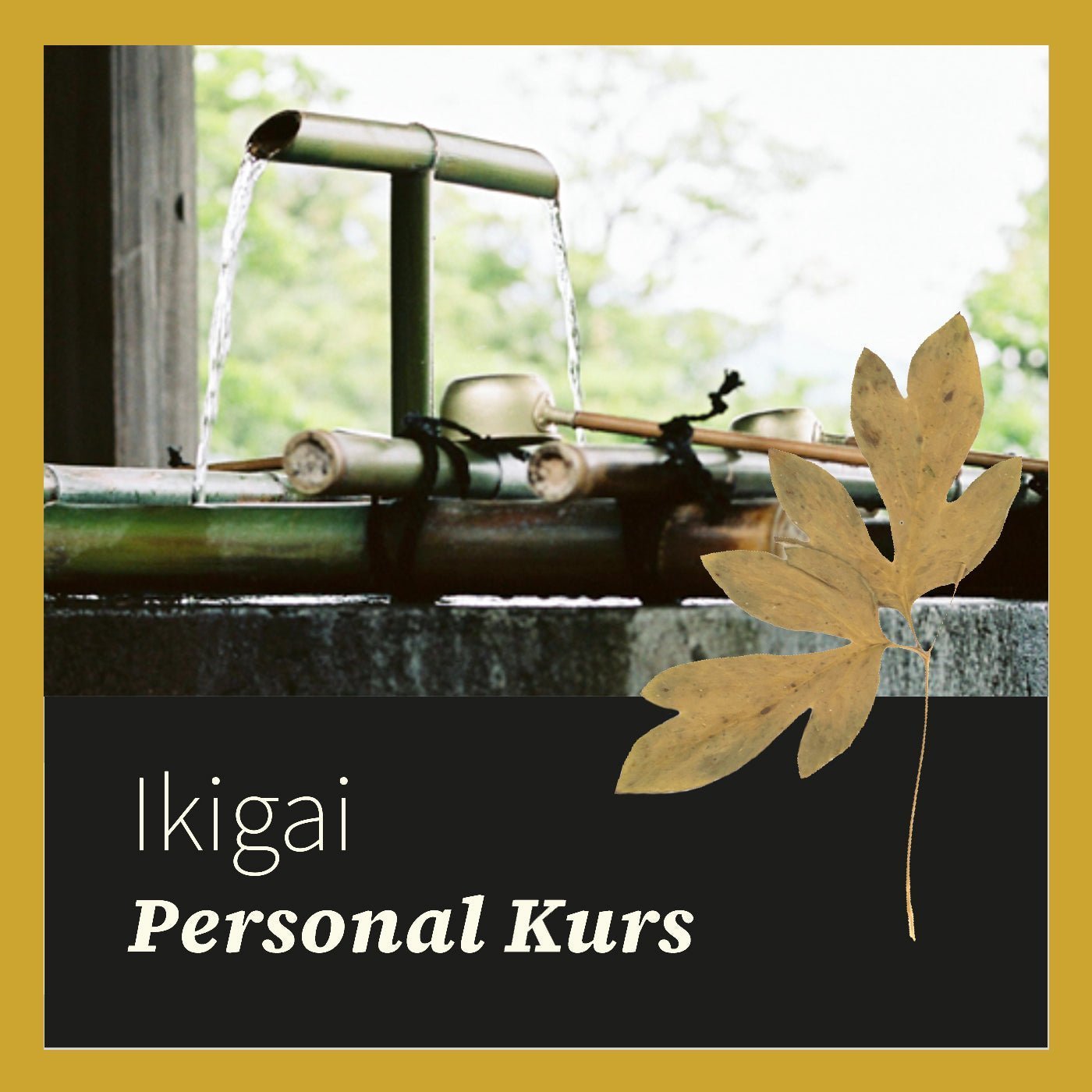 IKIGAI Personal Tag – Live Kurs