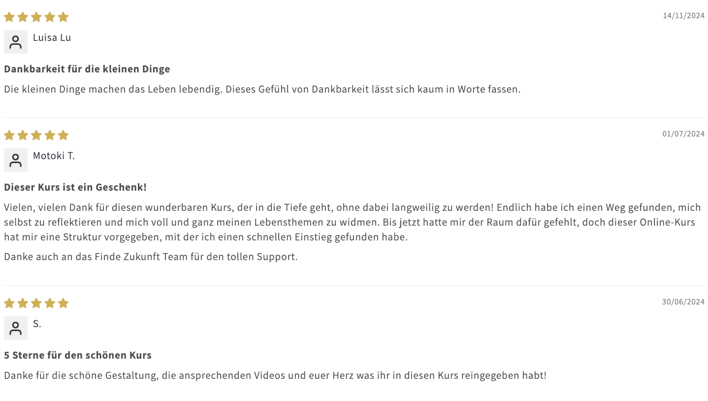 Ikigai Live Kurs Rezensionen Finde Zukunft.png