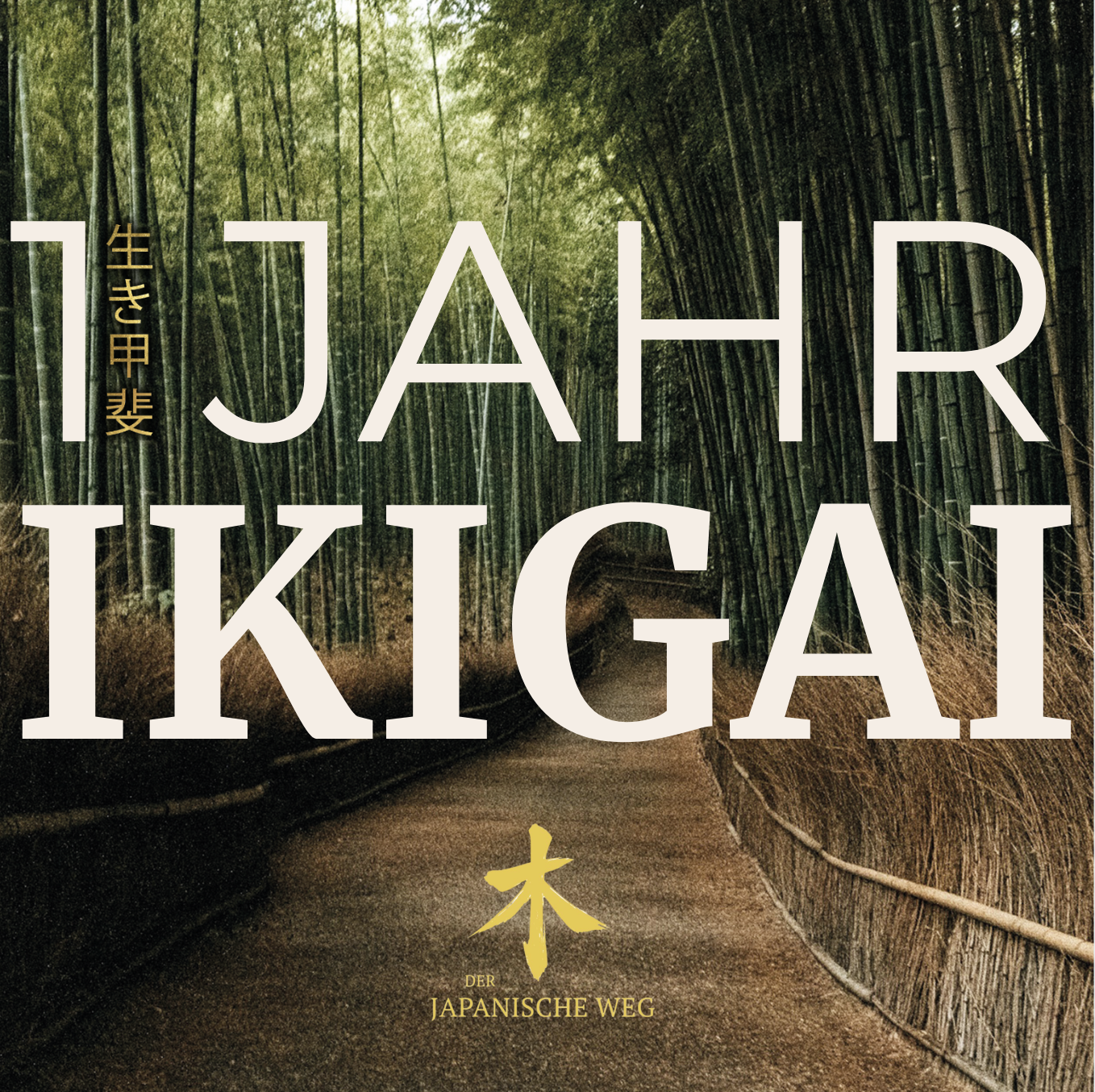 1 Jahr IKIGAI