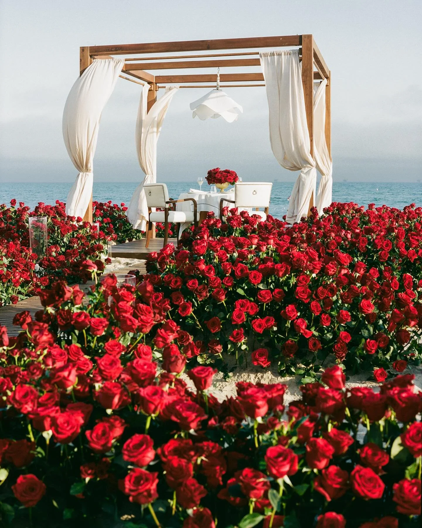 Who are you taking to this @rosewoodmiramarbeach private dinner experience ?! 

Roses by @emmarosefloral
