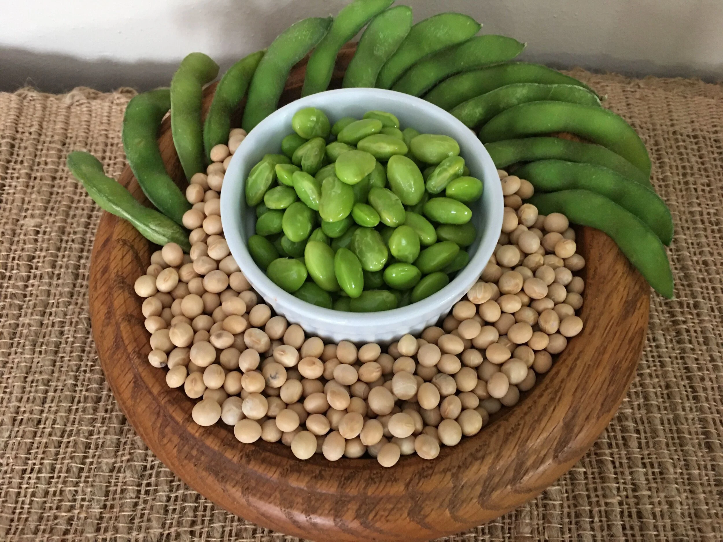 Edamame Seed Foodgrade Soybeans for Home Gardeners — B & B Legacy