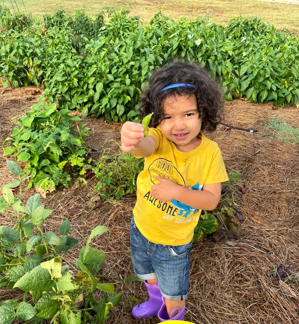 Edamame: A Healthy Choice for Our Kids