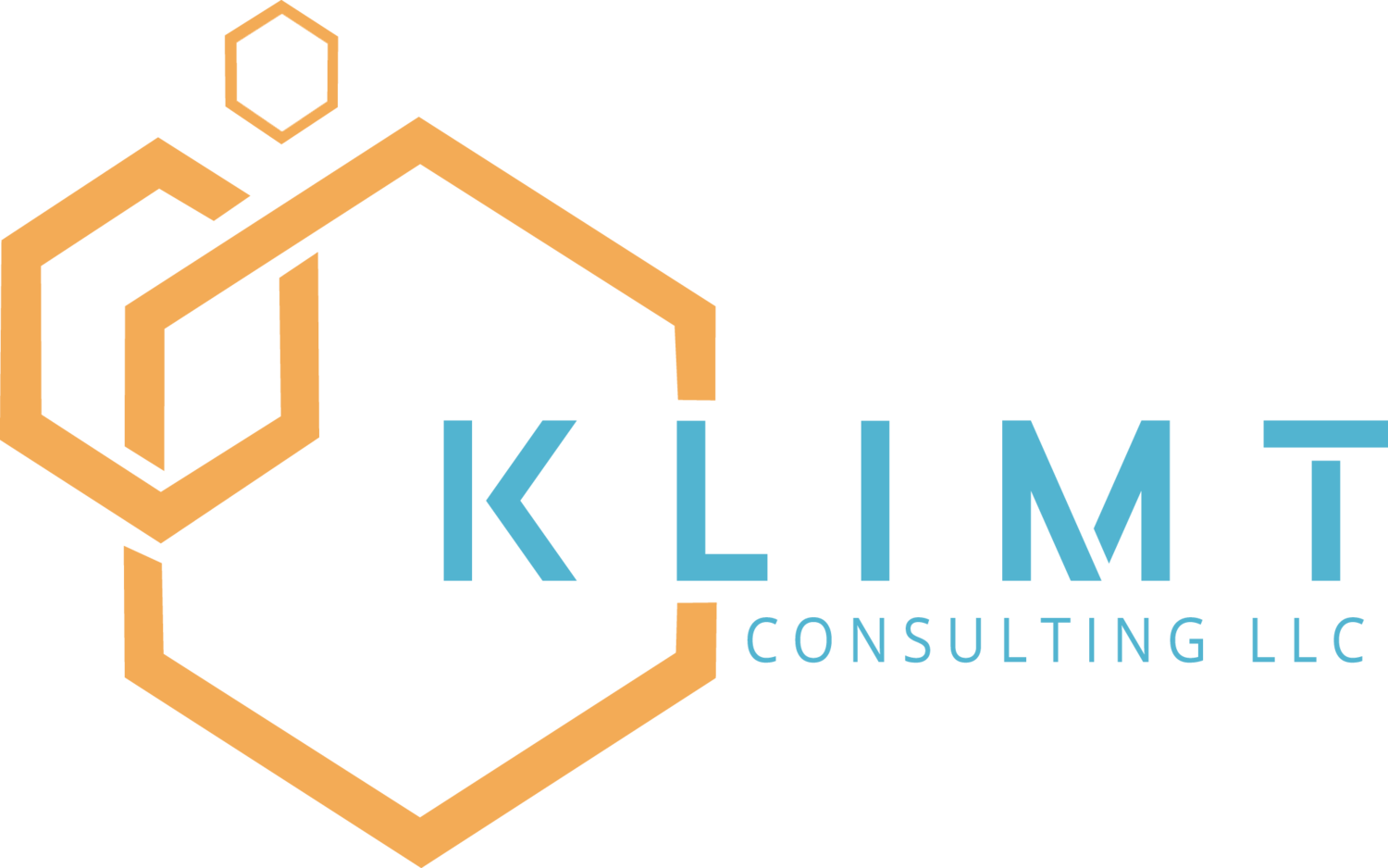 KLIMT CONSULTING LLC