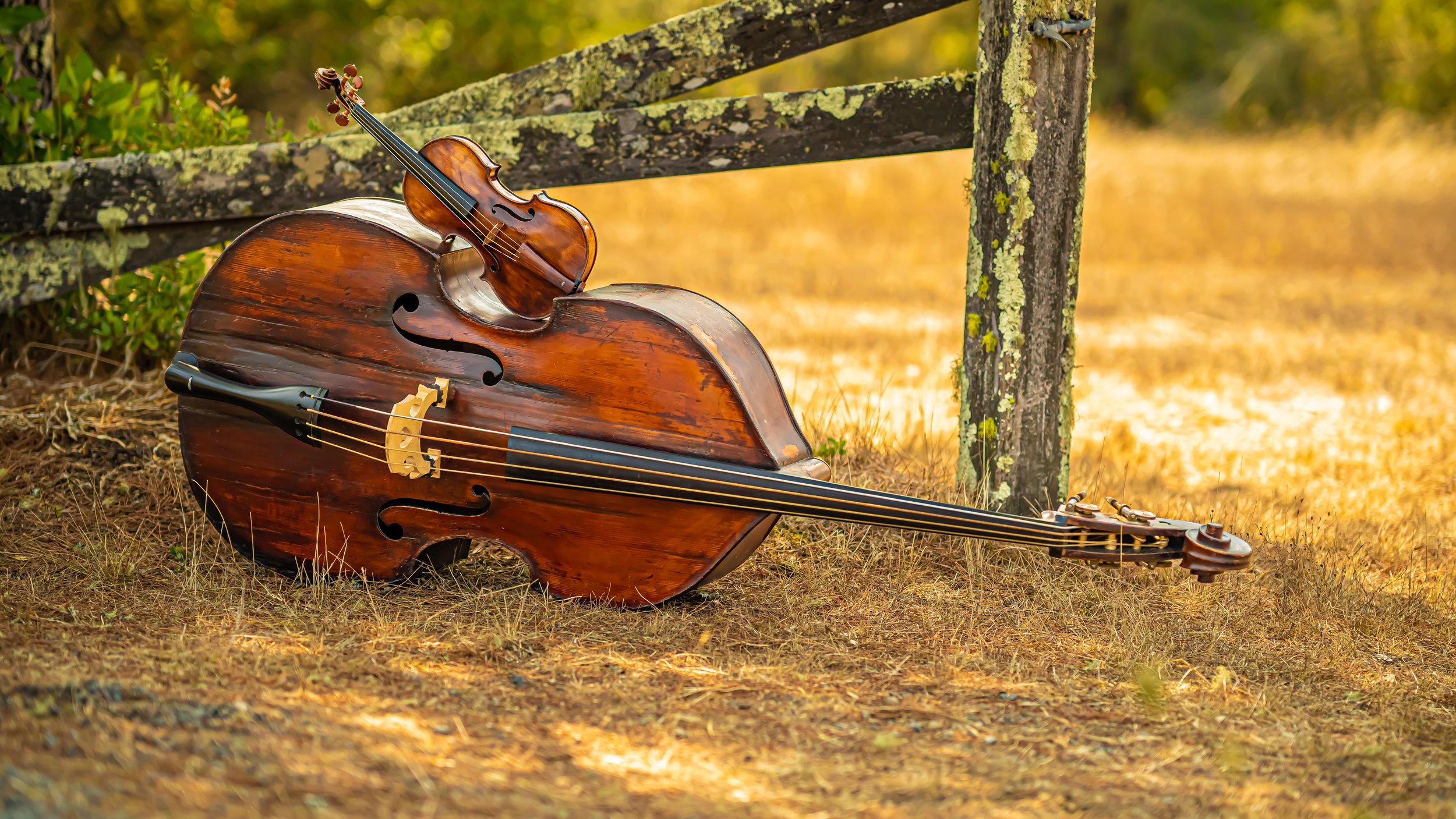 Beneath A Tree at KBBF