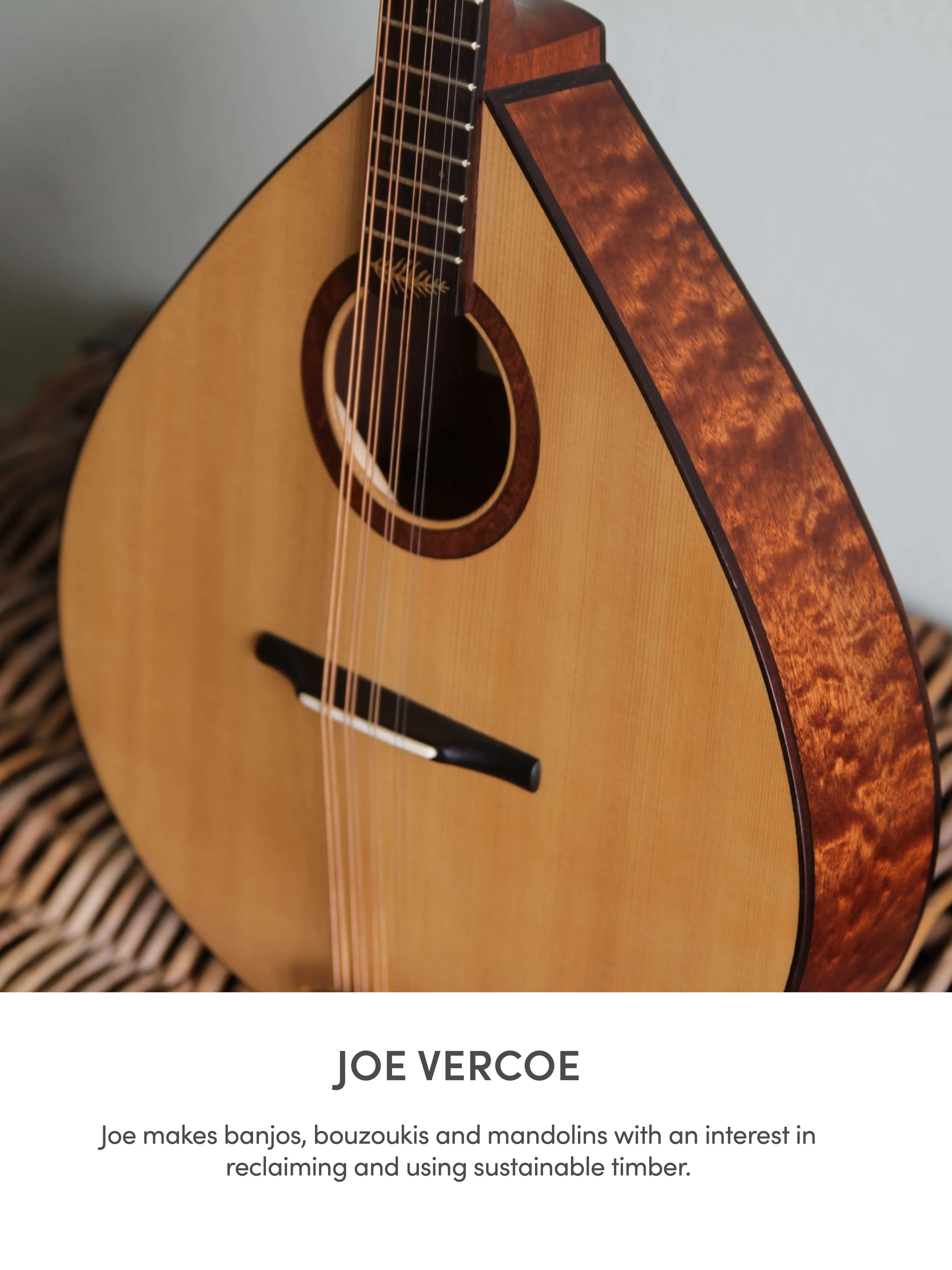 luthiers loft-group6.jpg