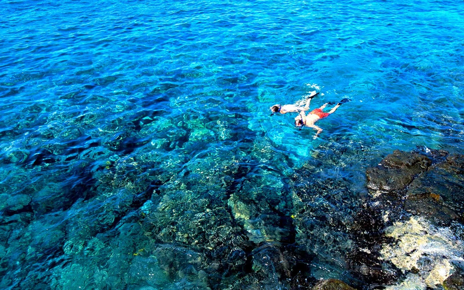 Copy of Snorkeling-Tour-2-R.jpg
