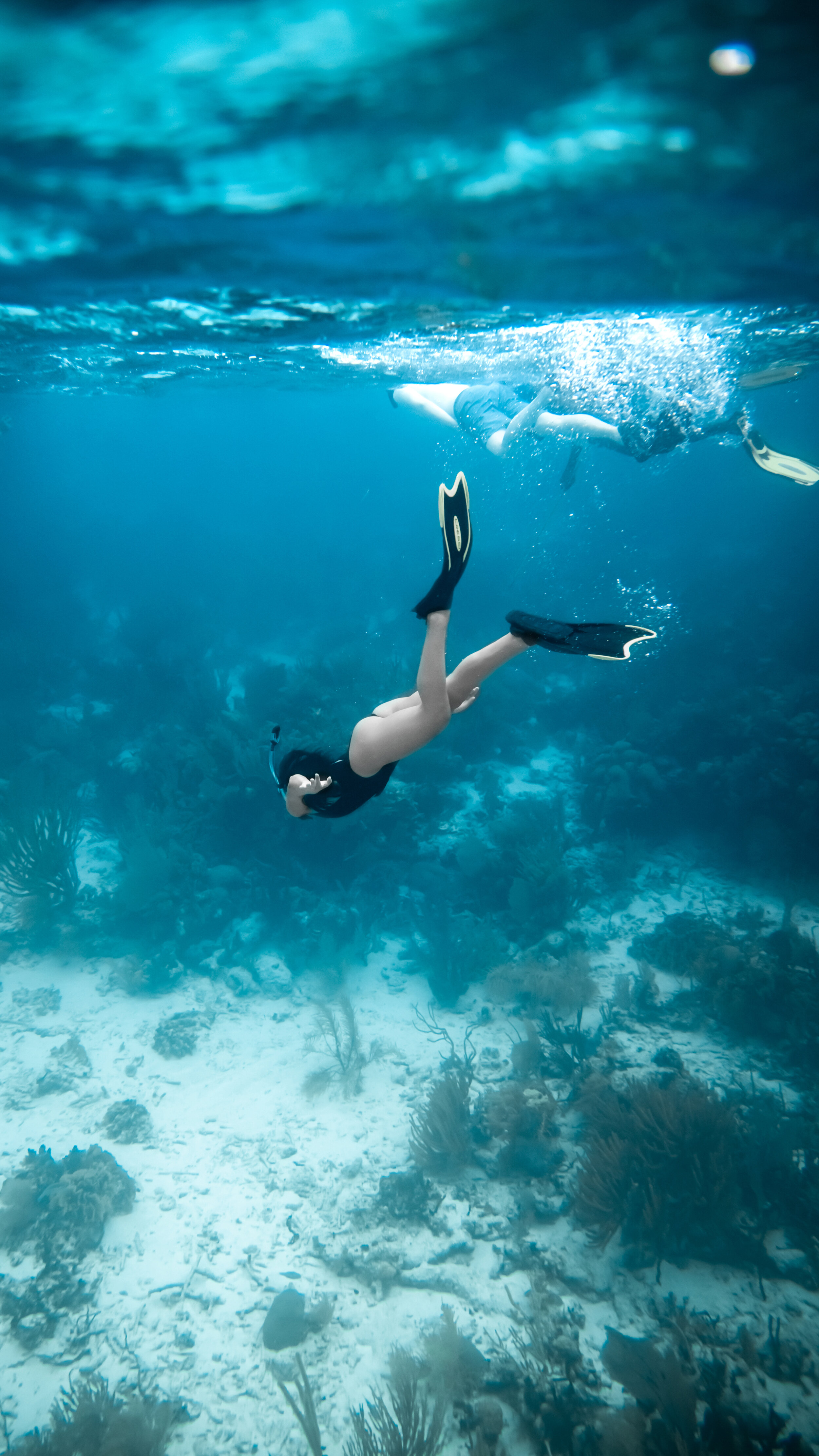 ranguana snorkel.jpg
