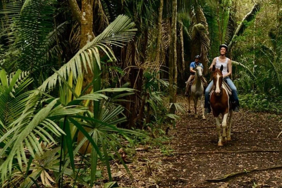 horseback riding.jpg
