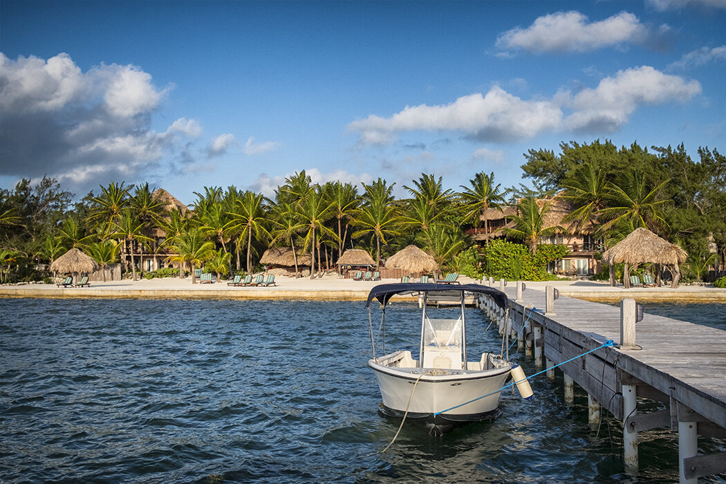 Views from dock with boats and palm trees.jpg
