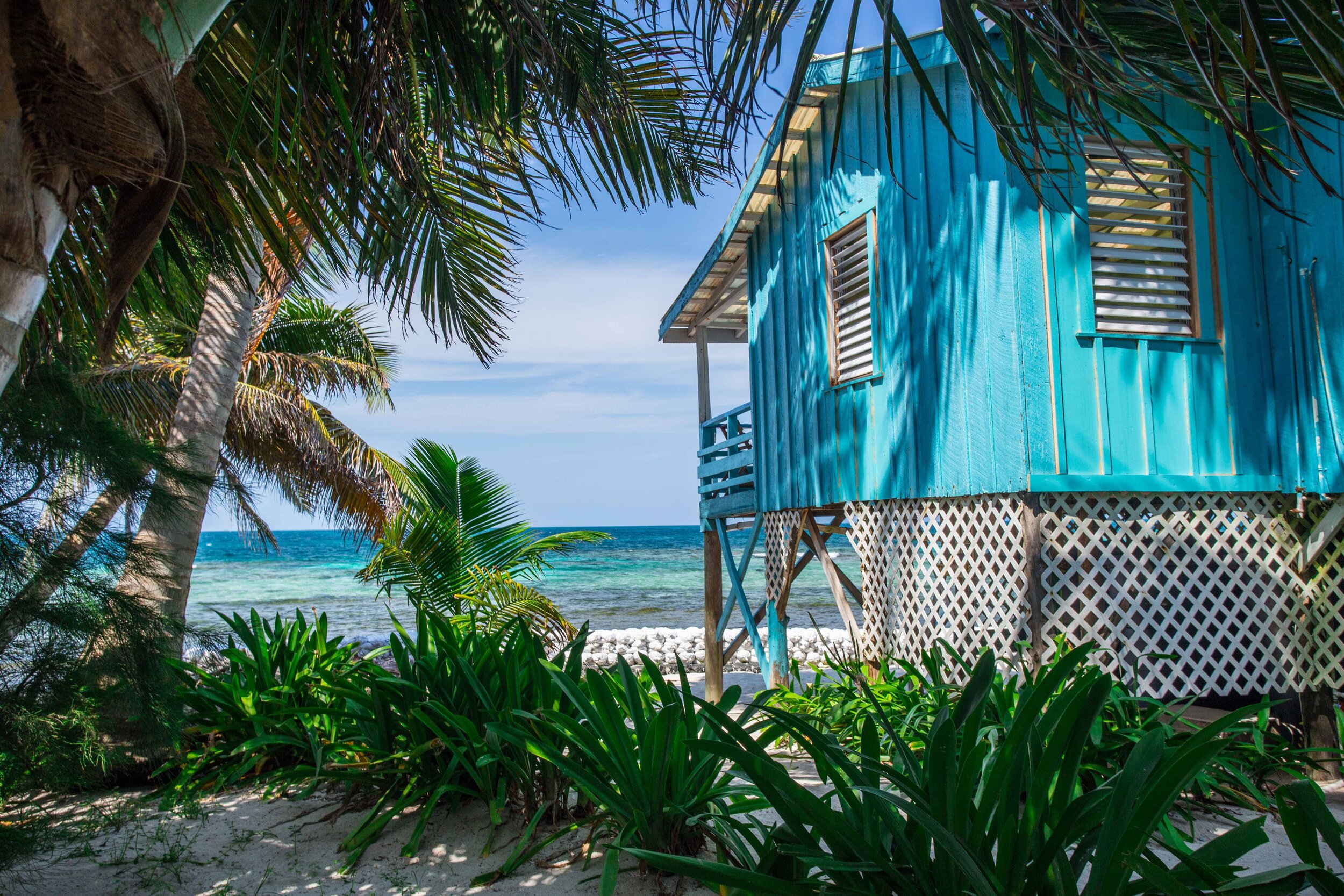 Copy of Ranguana-46.jpg