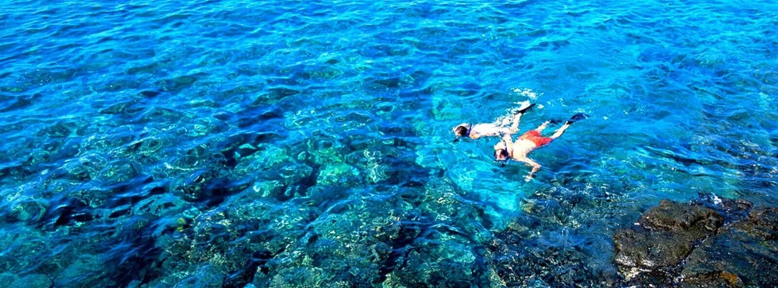 Snorkeling-Tour-2-R.jpg