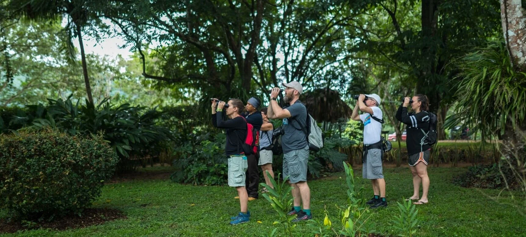 20191214sssbz00_birding-1007.jpg