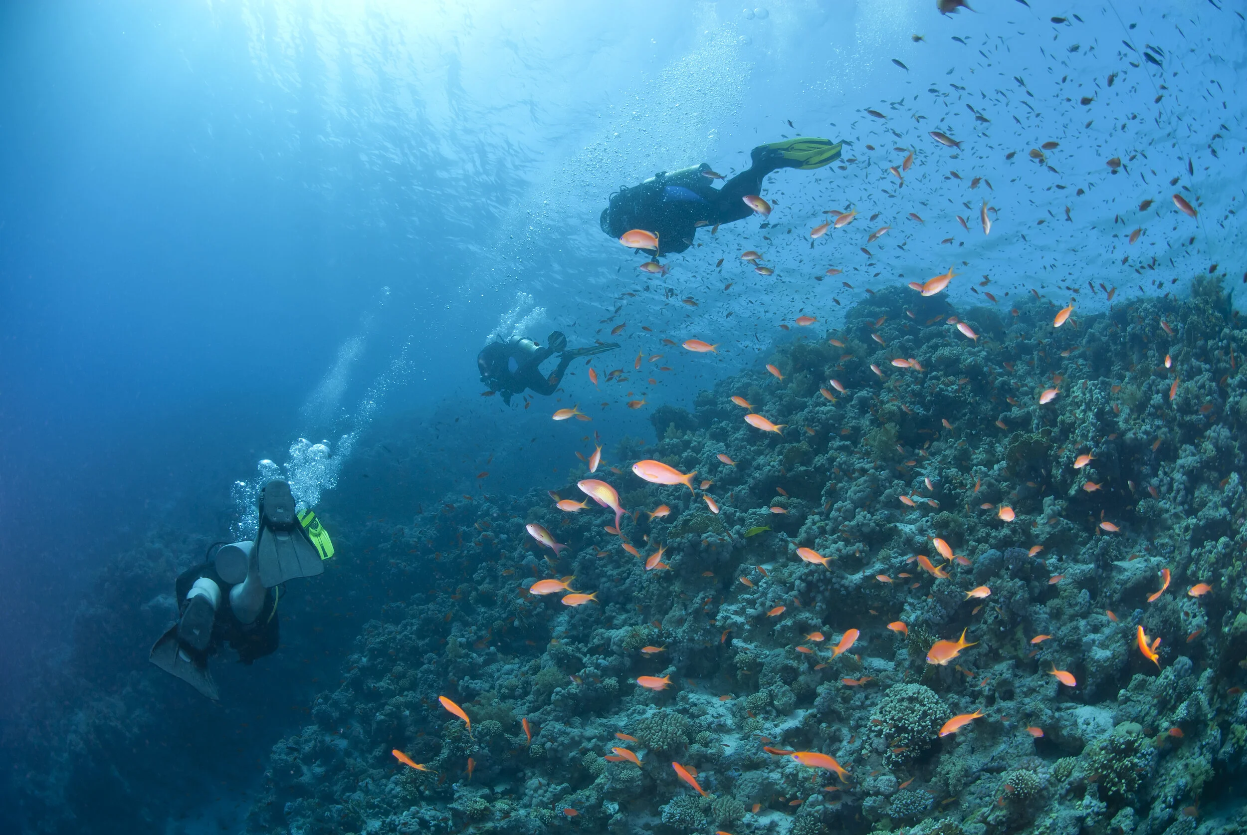 iStock_000020112046_Large.jpg