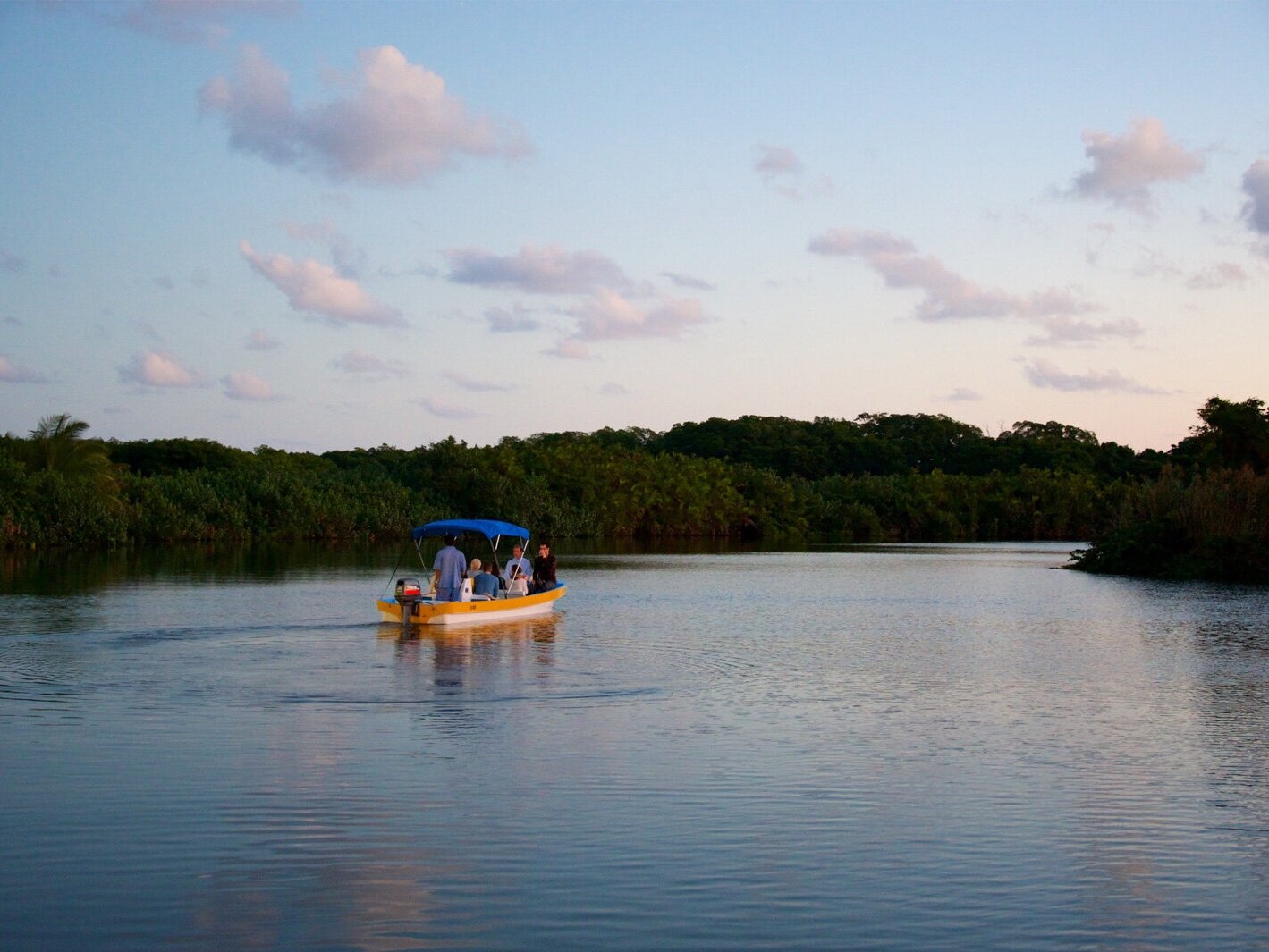 Monkey-River-1.jpg