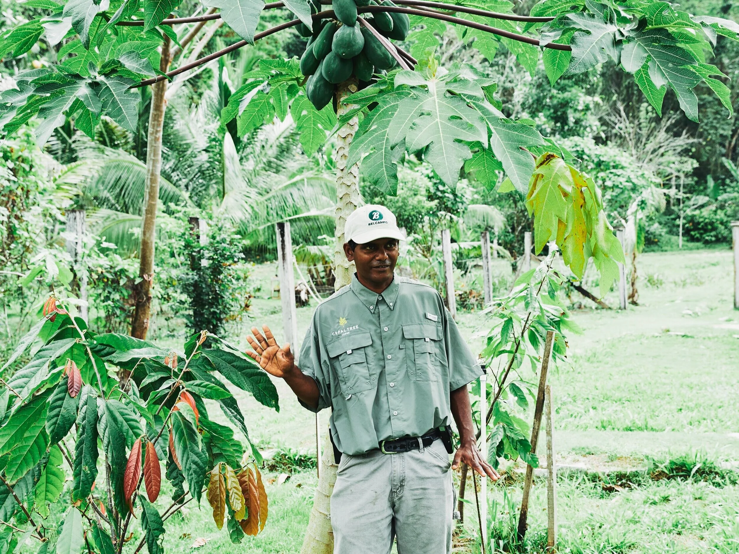 Chocolate_CopalTreelodge_0053.jpg