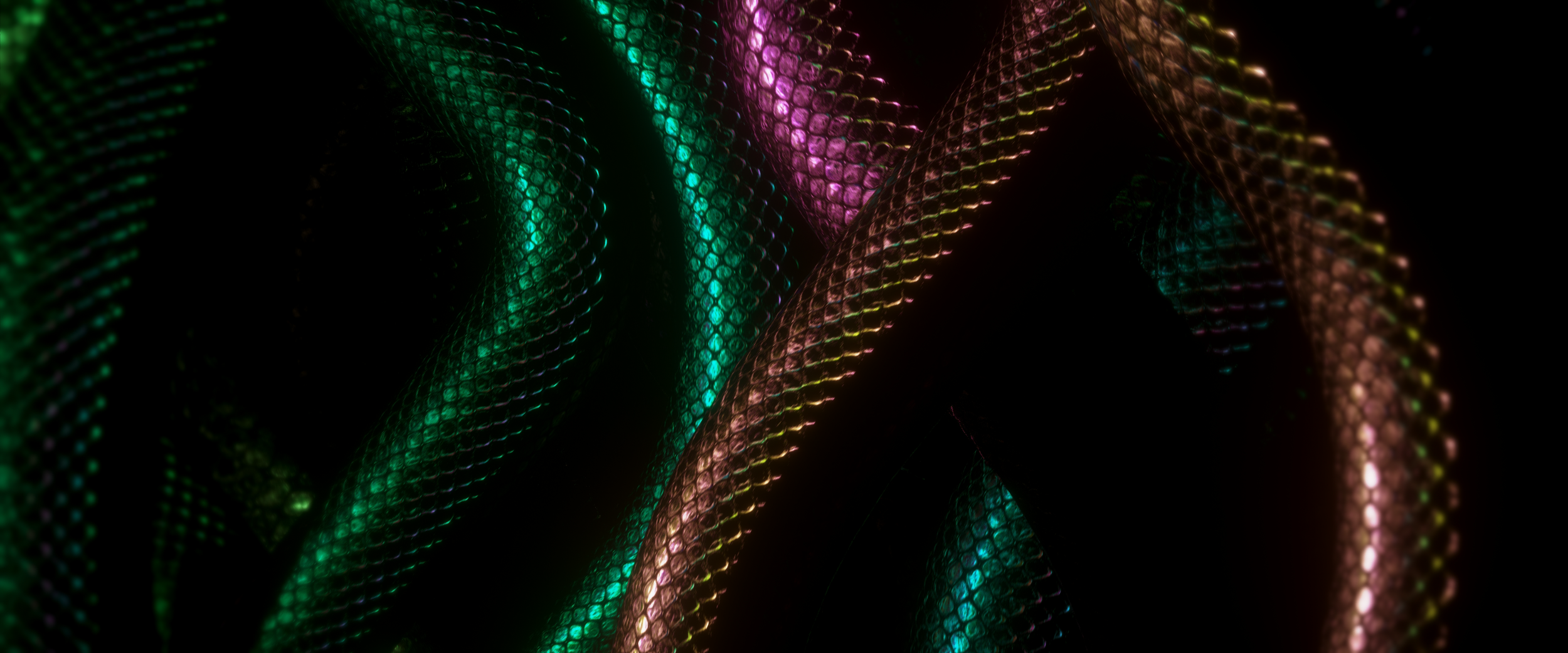 SNAKES_02 (0-00-01-05).png