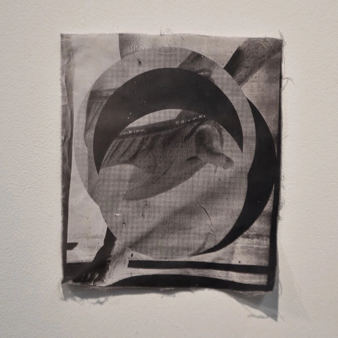 Cyanotype Dipped in Tanin and Vinegar