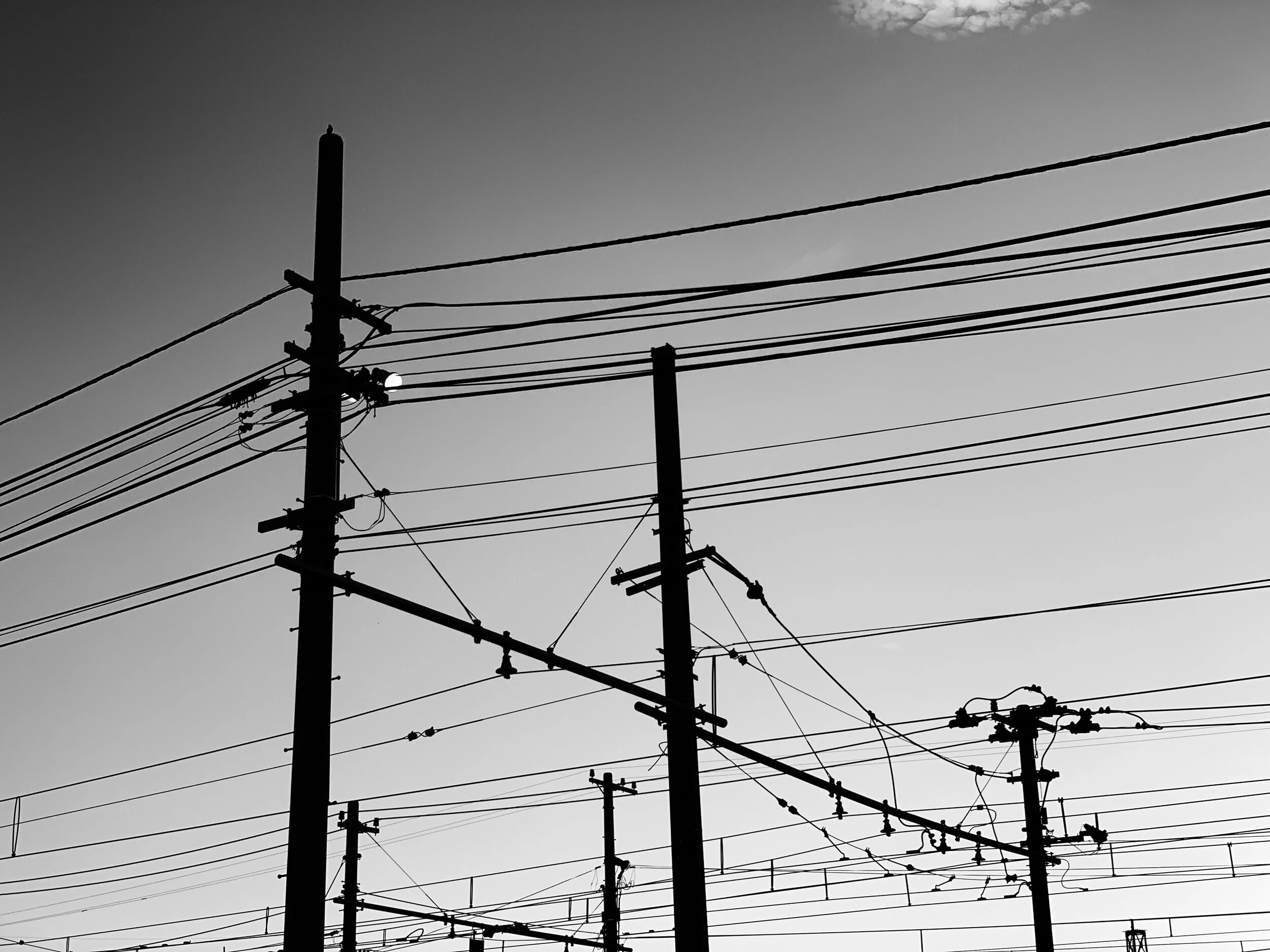 electrical wires in black and white