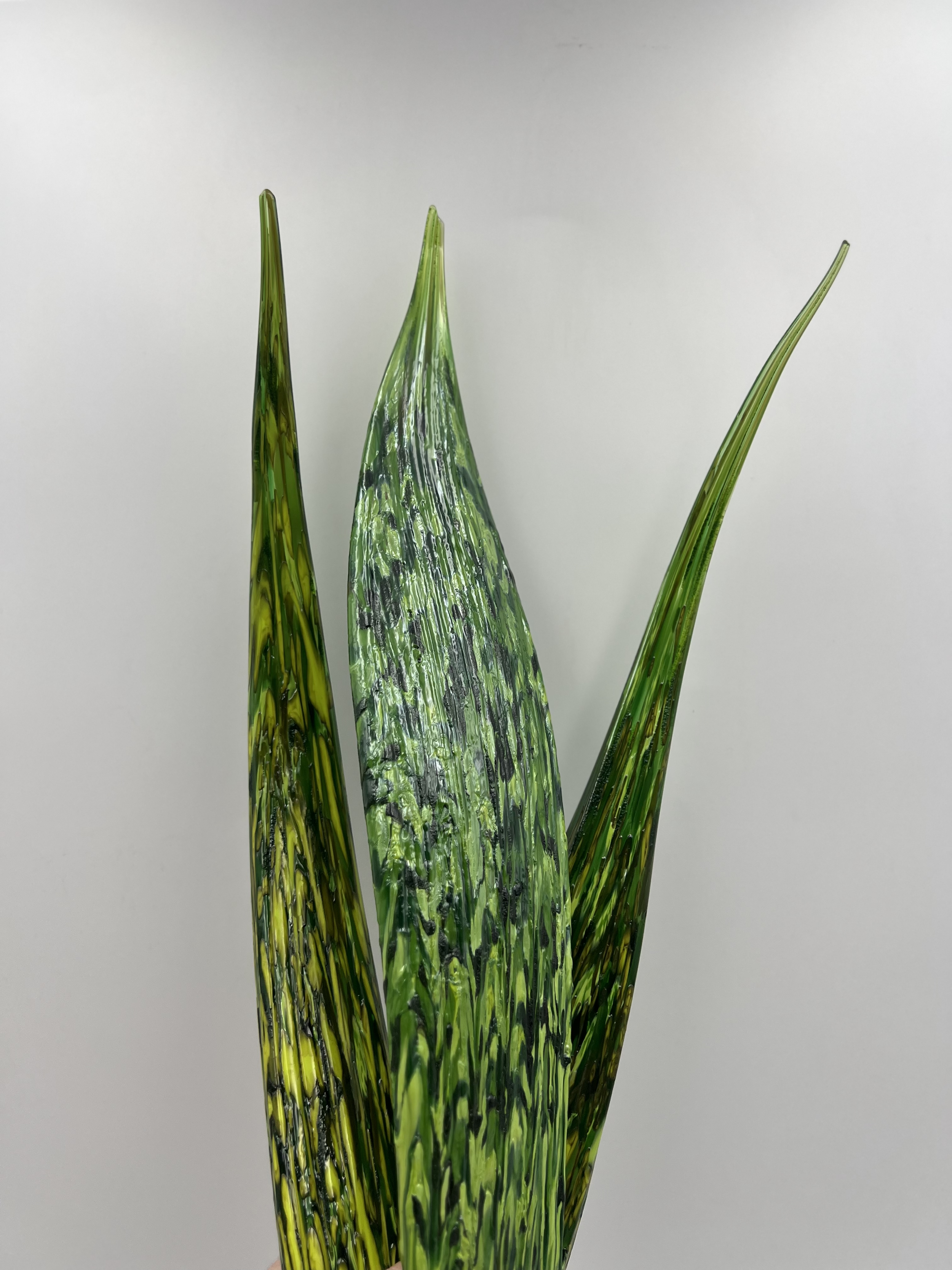 SnakePlantDetail2.png
