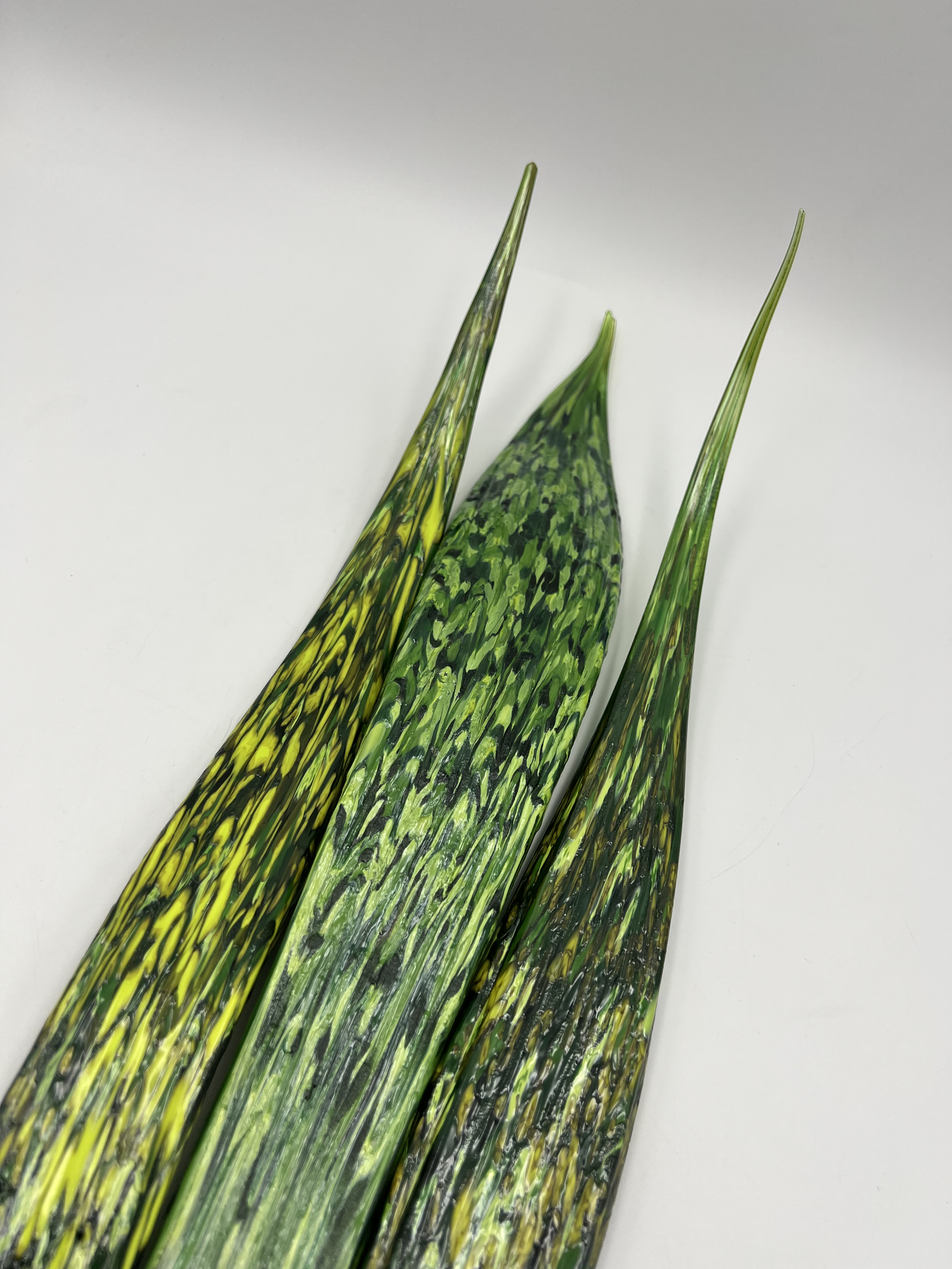 SnakePlantDetail1.png
