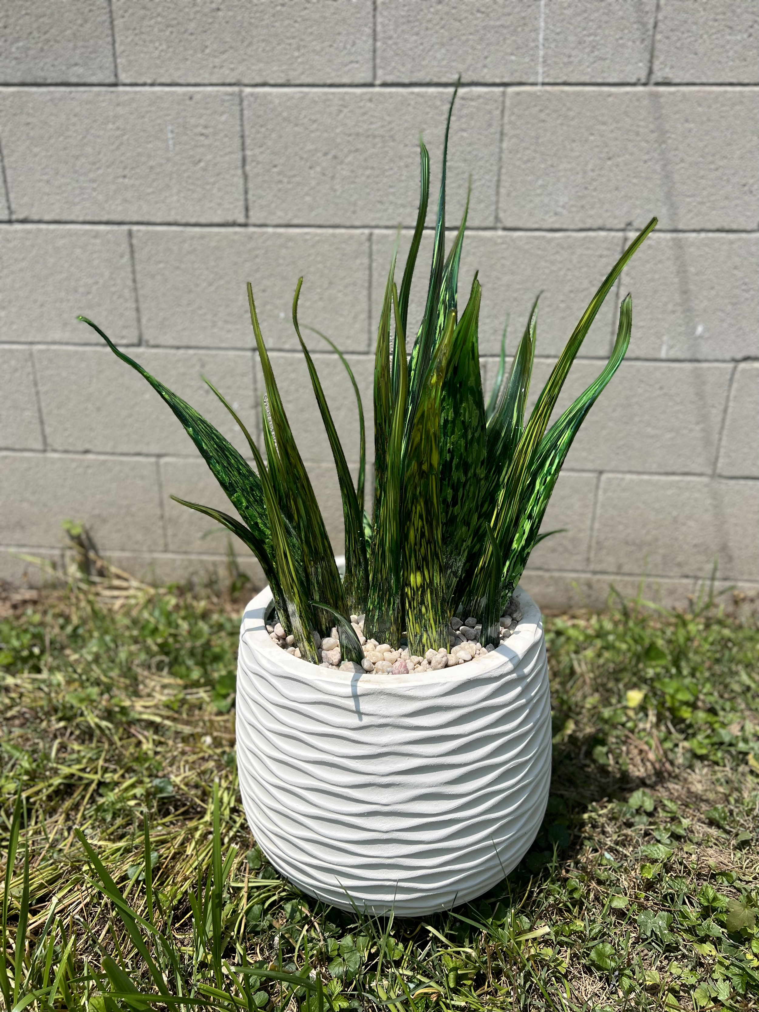 SnakePlantFull.png