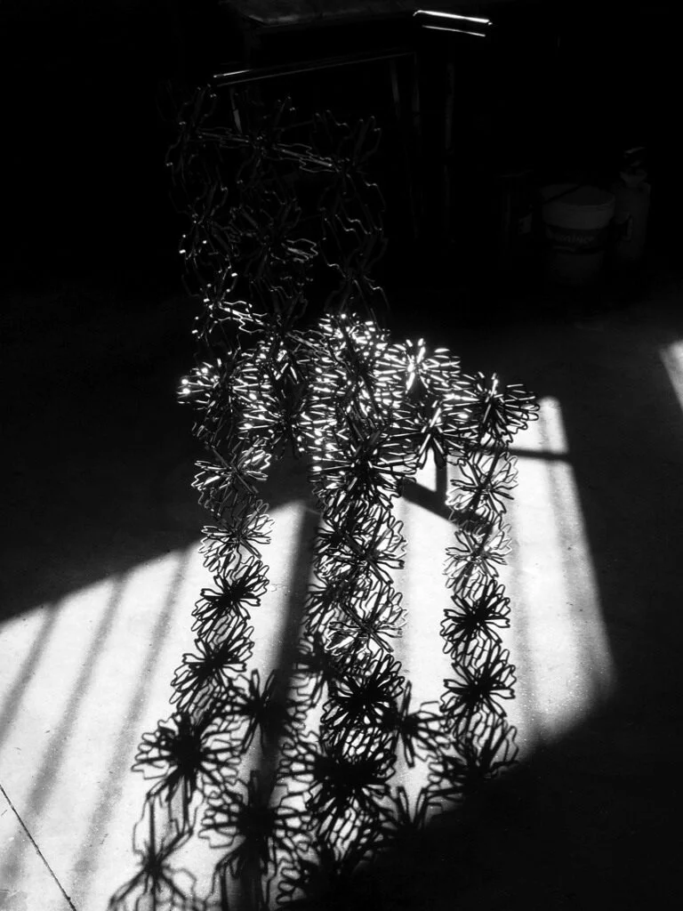 Lic fabrication 1.jpg