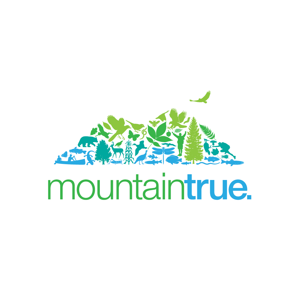 mountaintrue_logo_centered_square.png