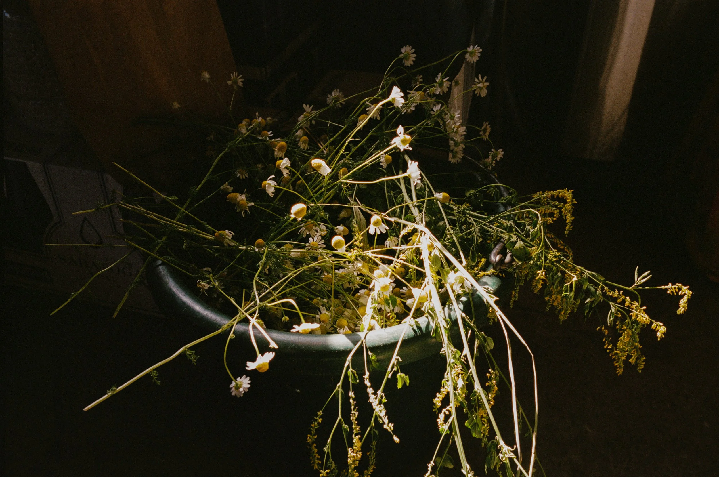 Callisto_Film_11.jpg