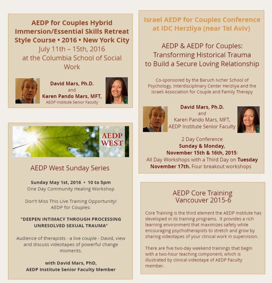 AEDP for Couples AEDPfC 5