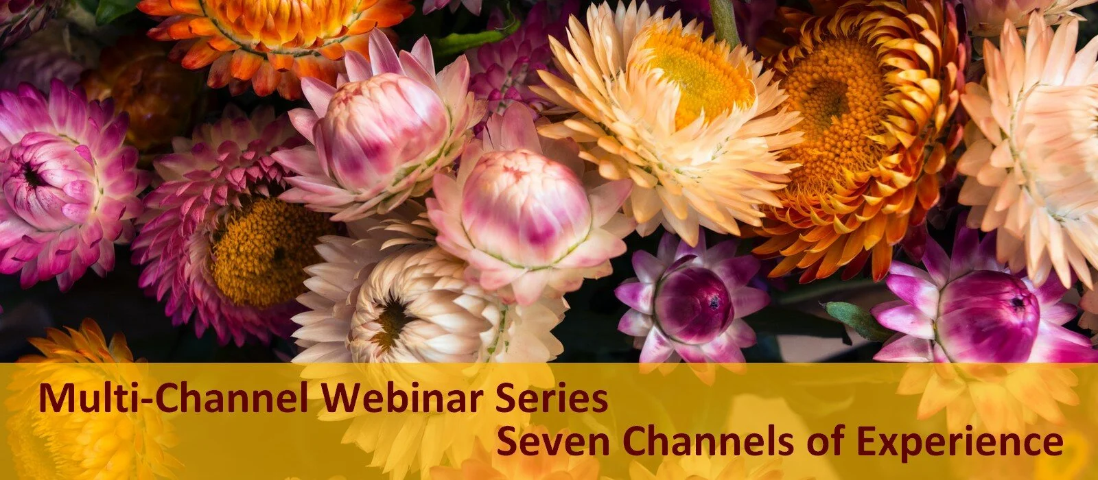 Therapy Multi-Channel Webinar Series